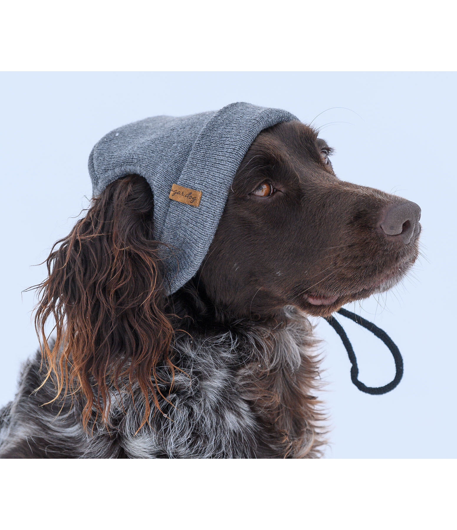 honden Beanie Evin