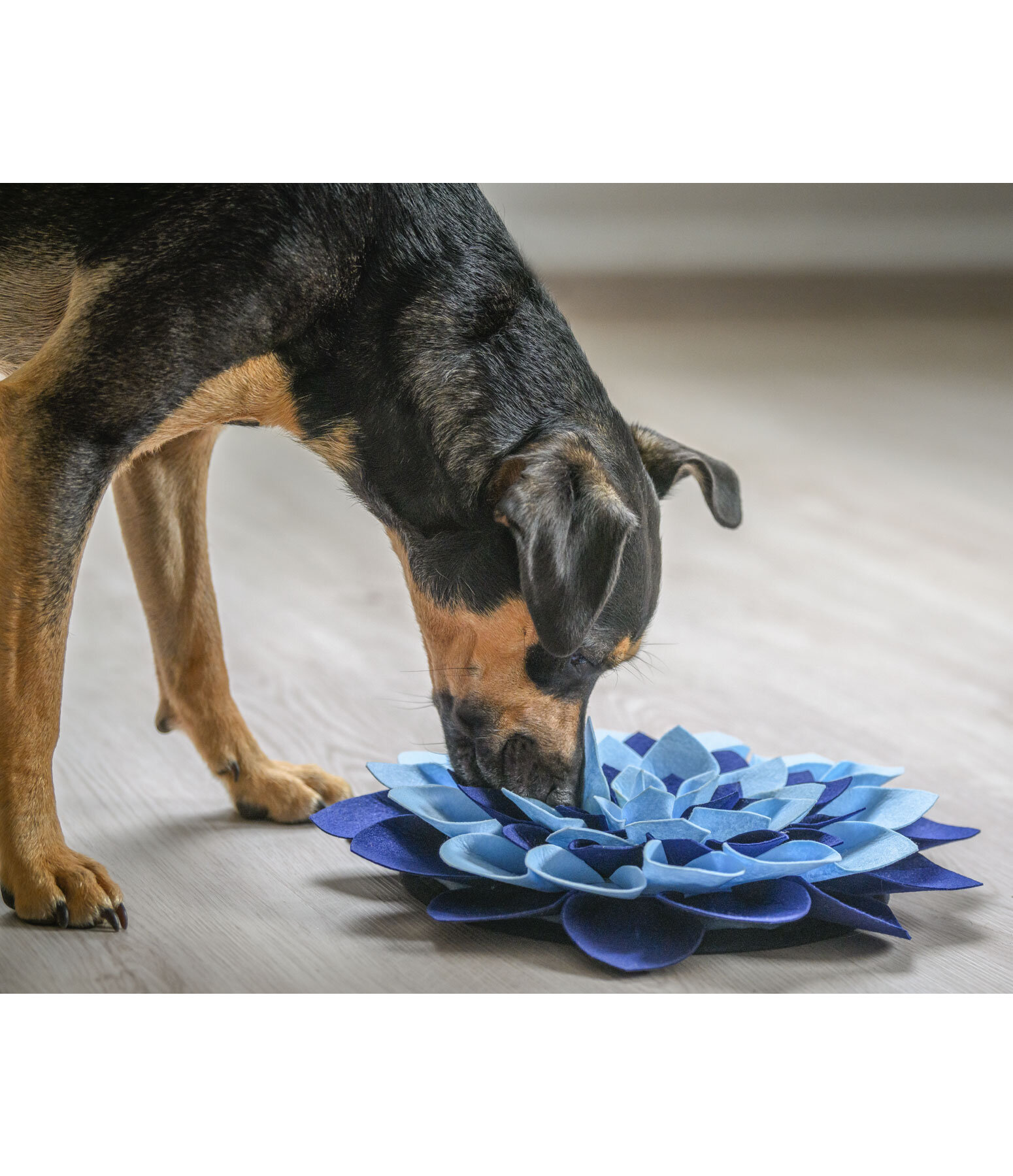 snuffeltapijt voor honden