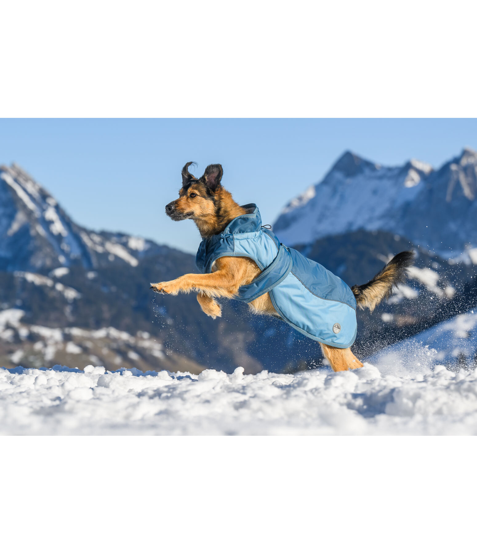 honden winterjas Glacier Bay met teddyfleece-binnenvoering, 100 g