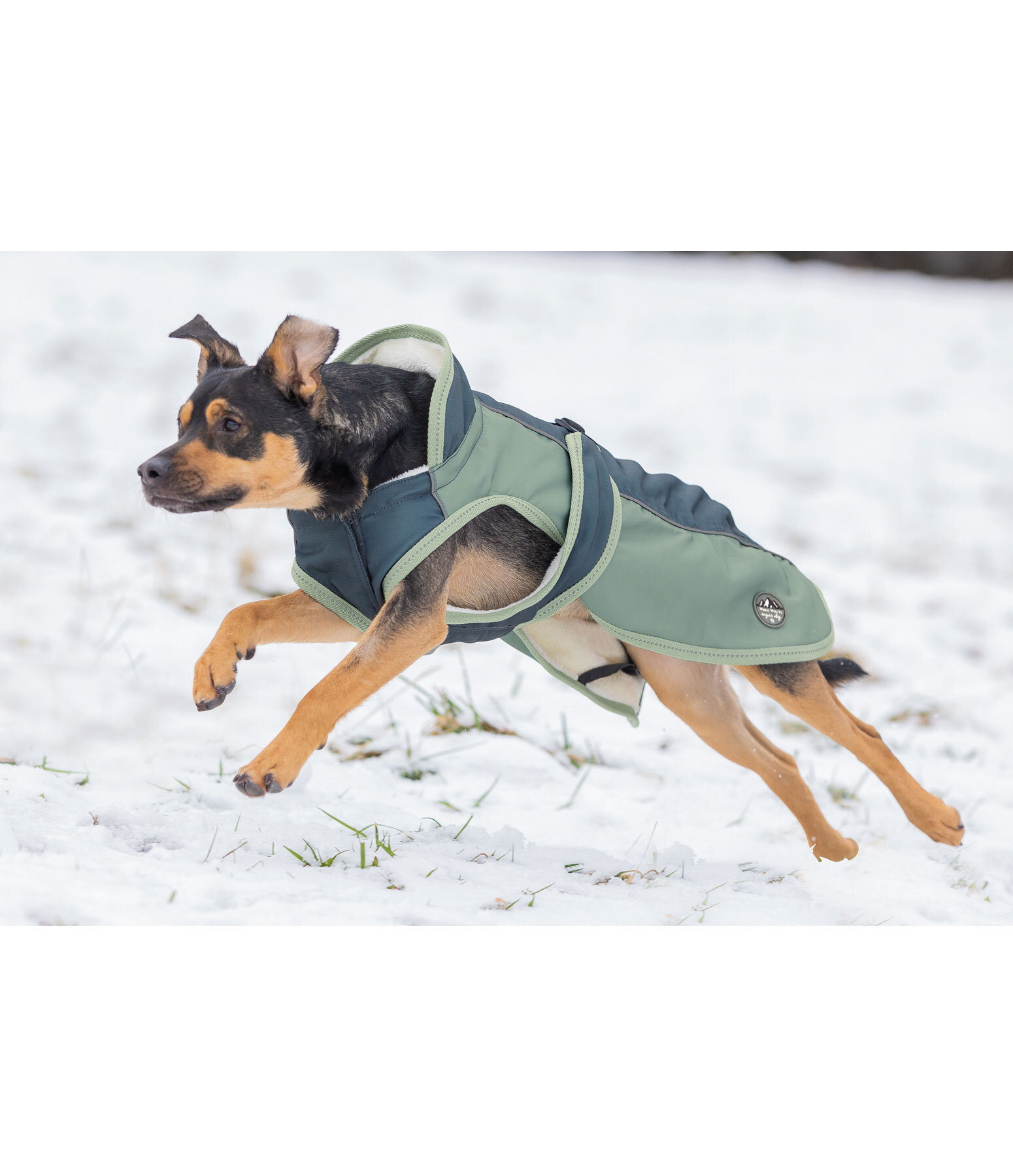 honden winterjas Glacier Bay met teddyfleece-binnenvoering, 100 g