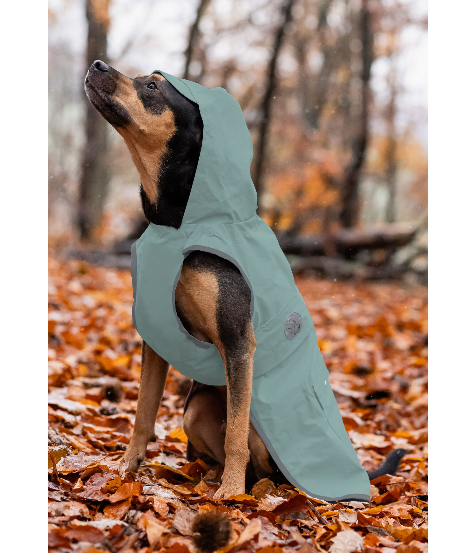 honden regenmantel Waterton Lakes, 0 g