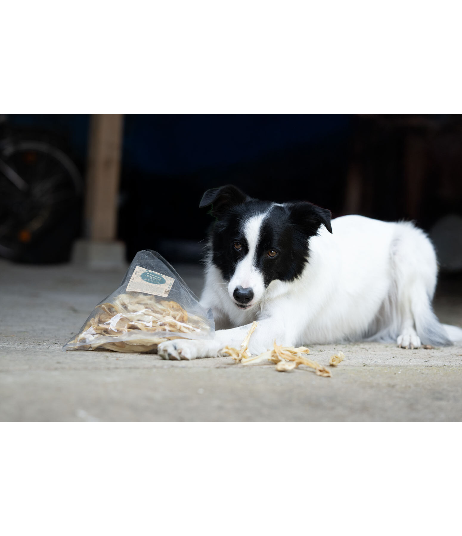 lamskophuid hondensnack