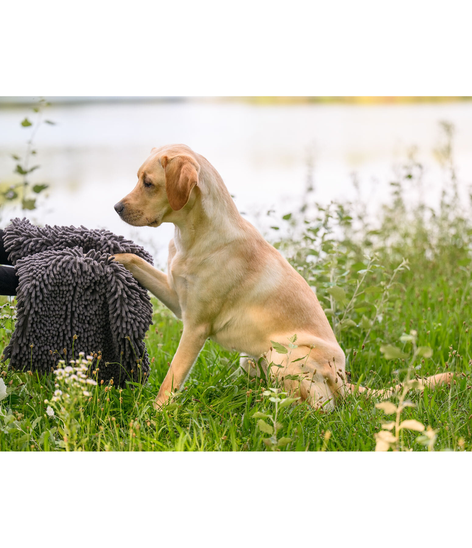 multifunctionele handdoek Soulmate voor honden
