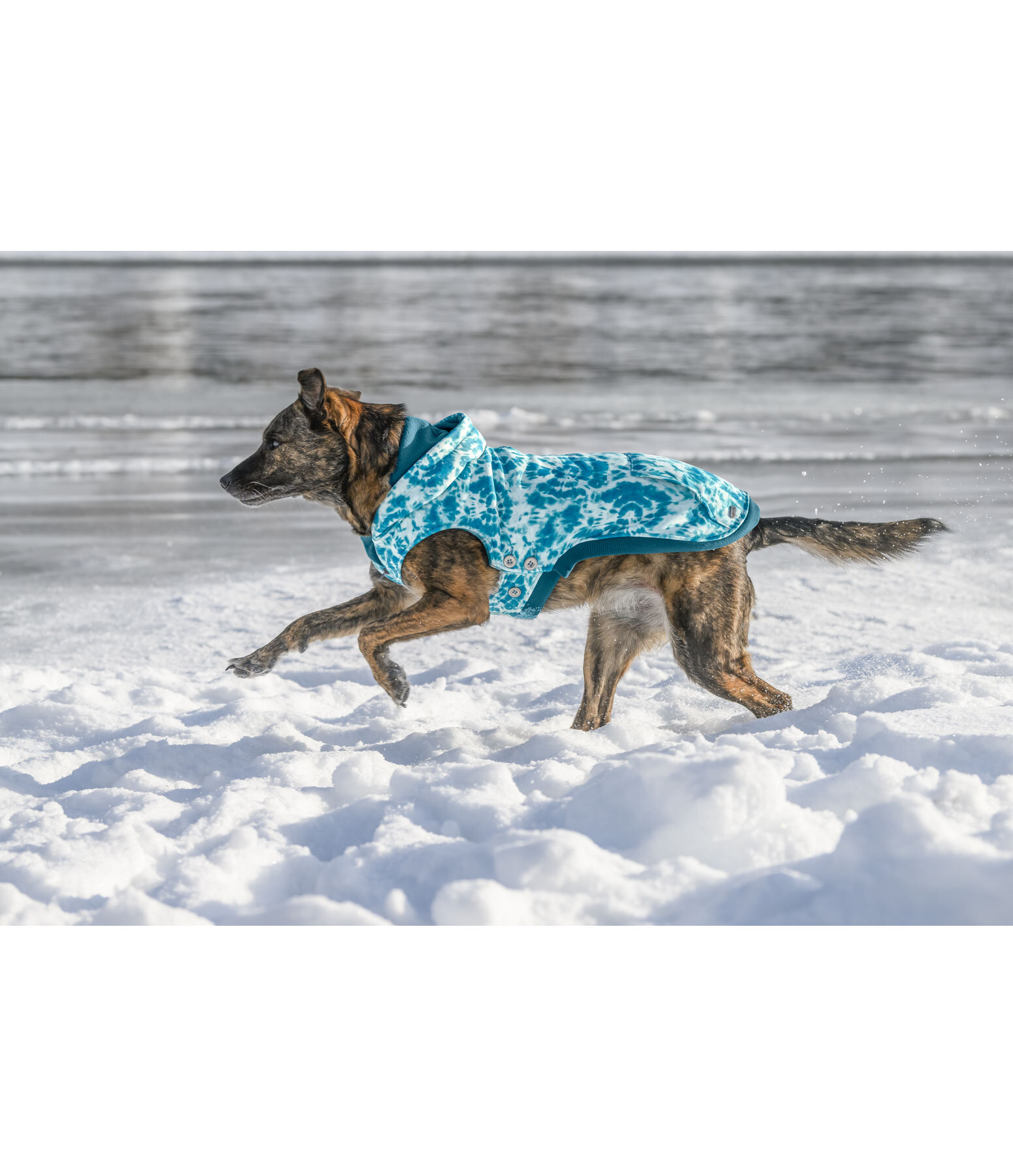 Batik honden hoodie Daphne