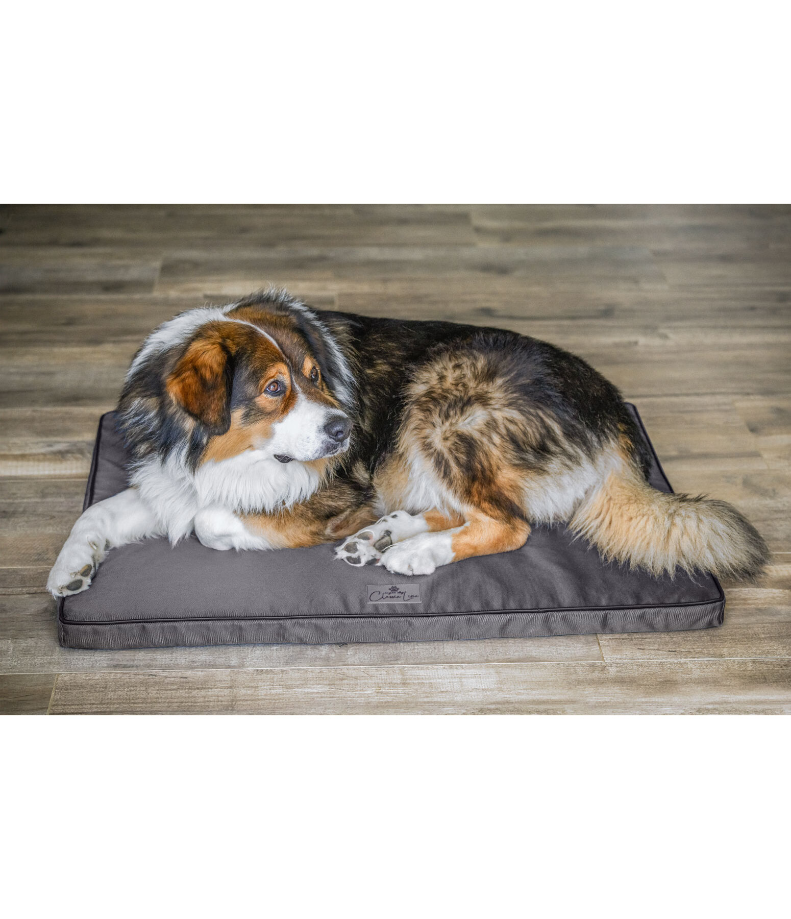 Cooling honden ligmat Atlanta