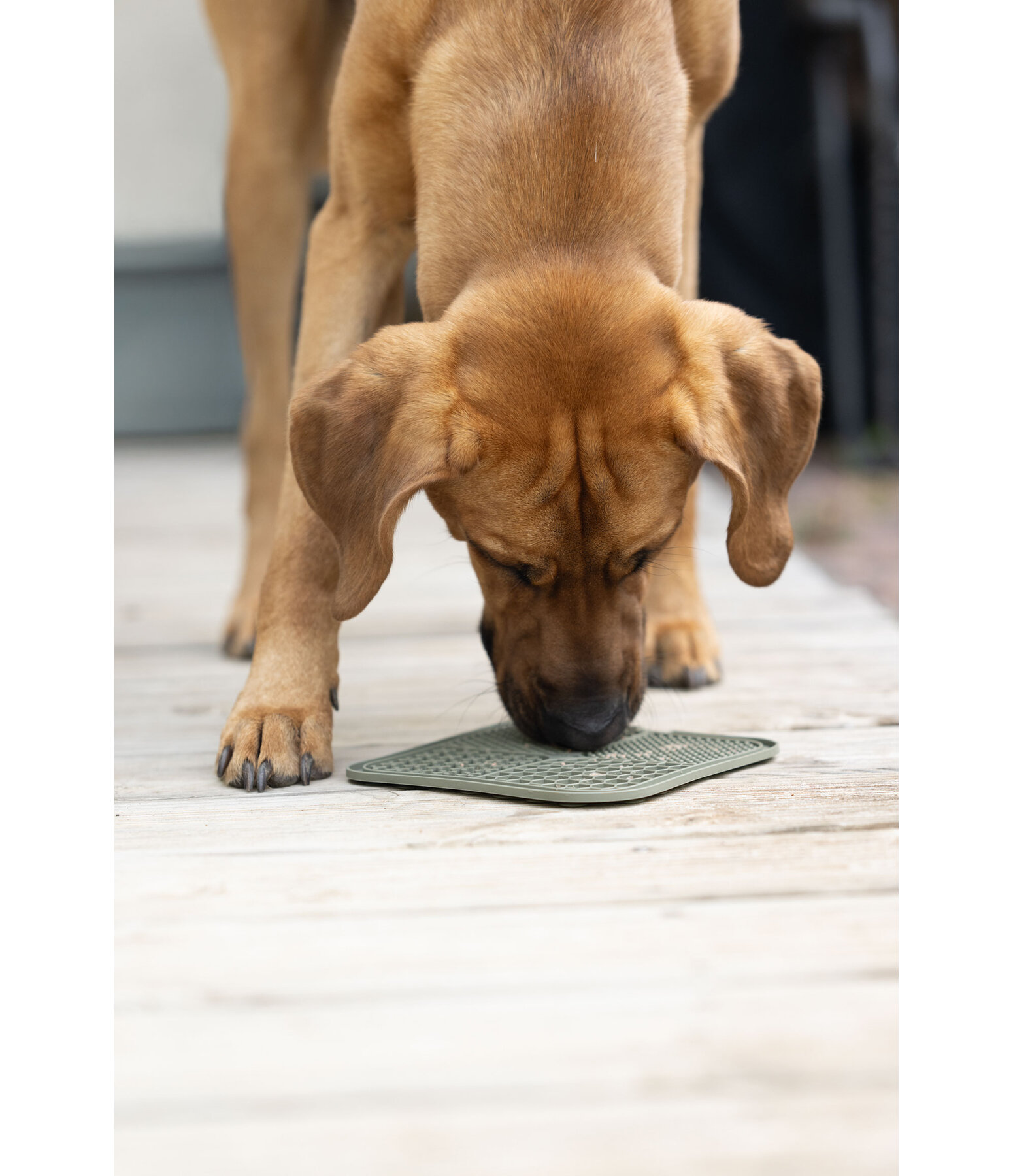 likmat Classic Line voor honden