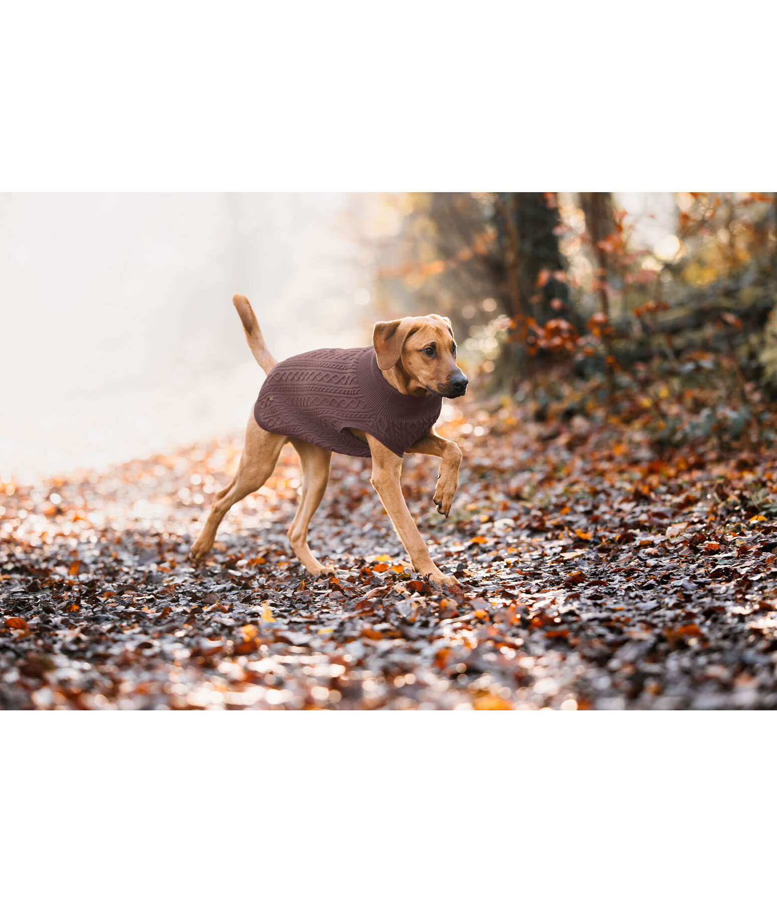 honden pullover Maisie