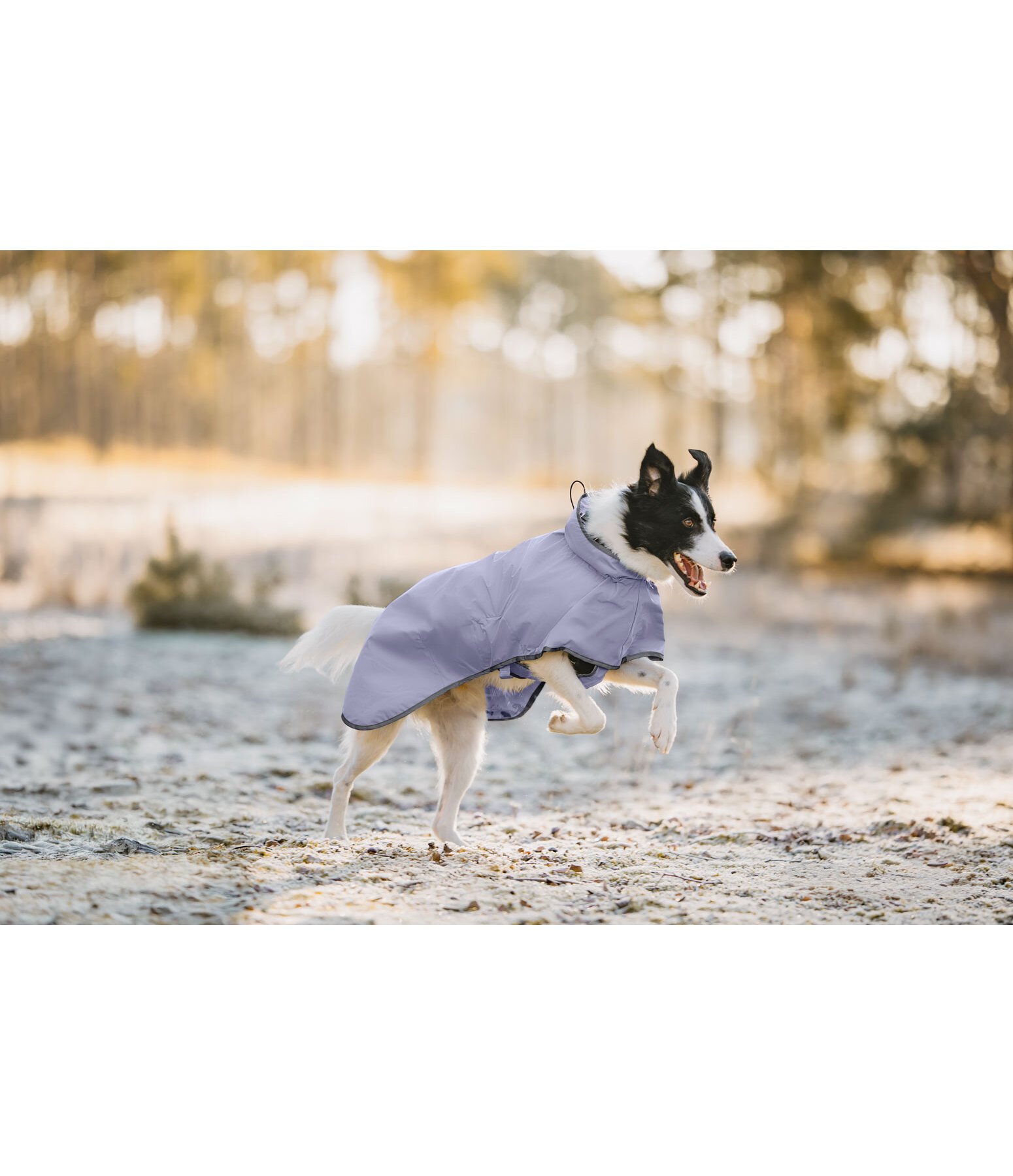 honden regenjas Thousand Islands, 0 g