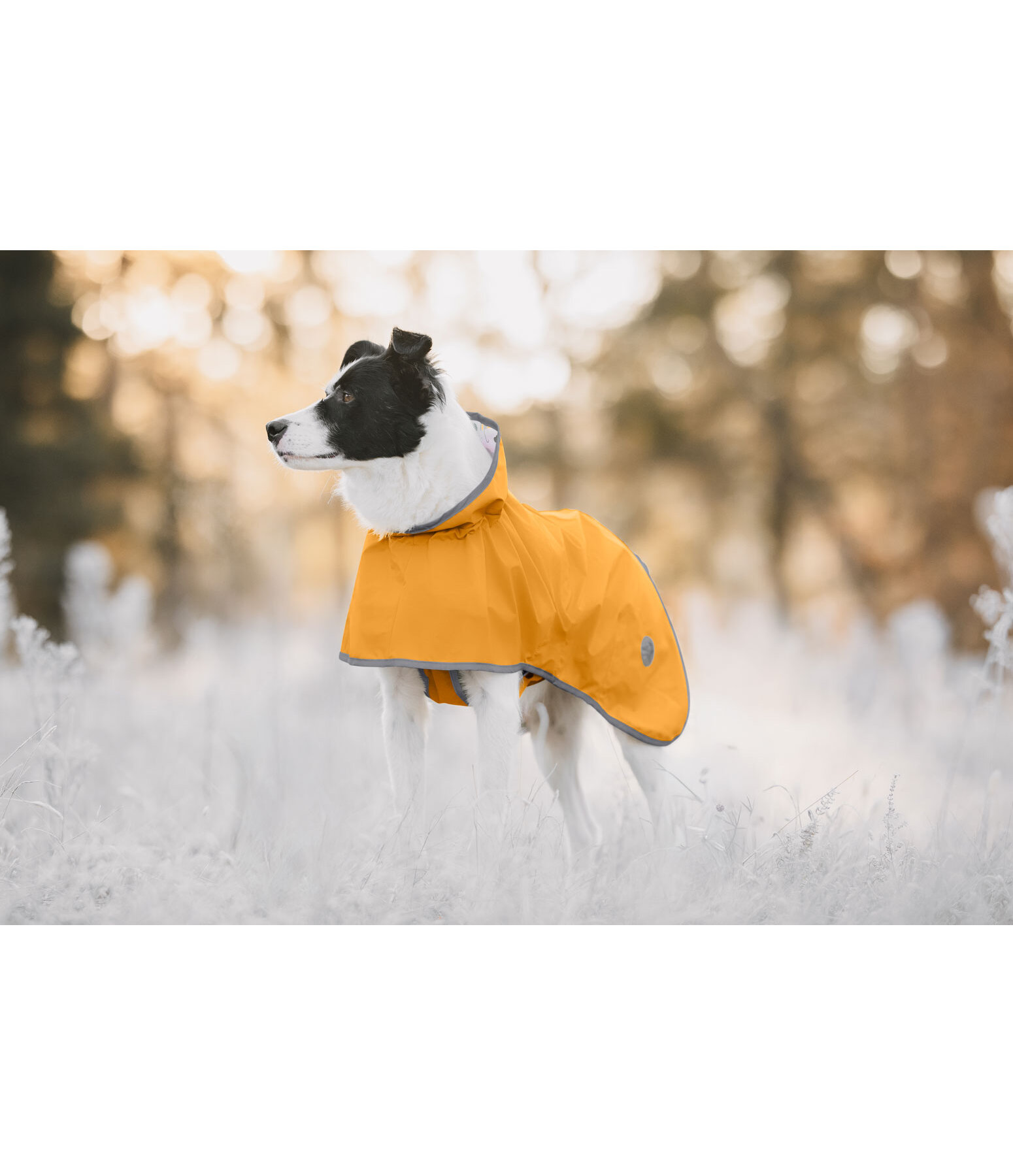 honden regenjas Thousand Islands, 0 g