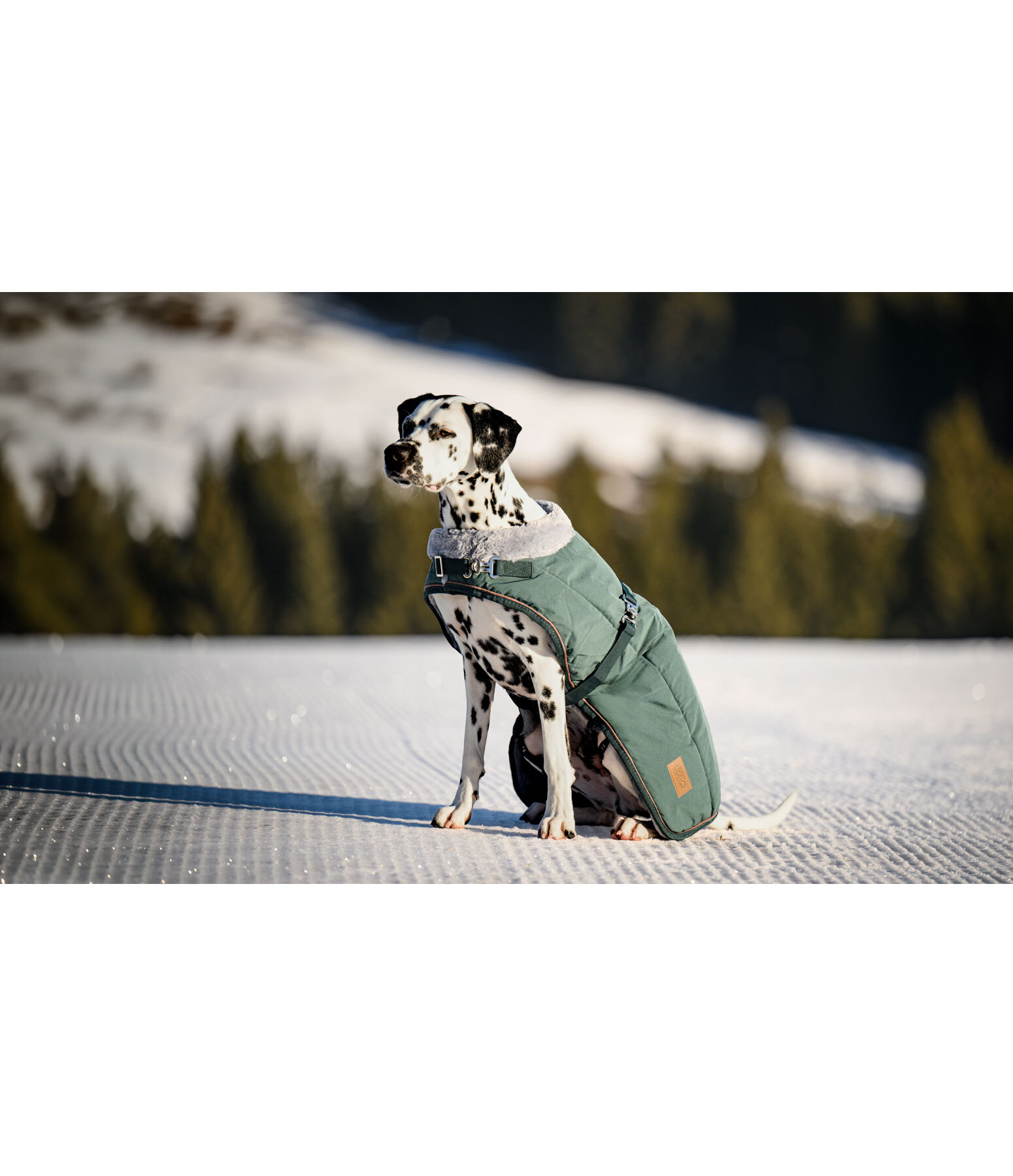 Winter-hondenmantel Gizmo met teddy binnenvoering, 200 g