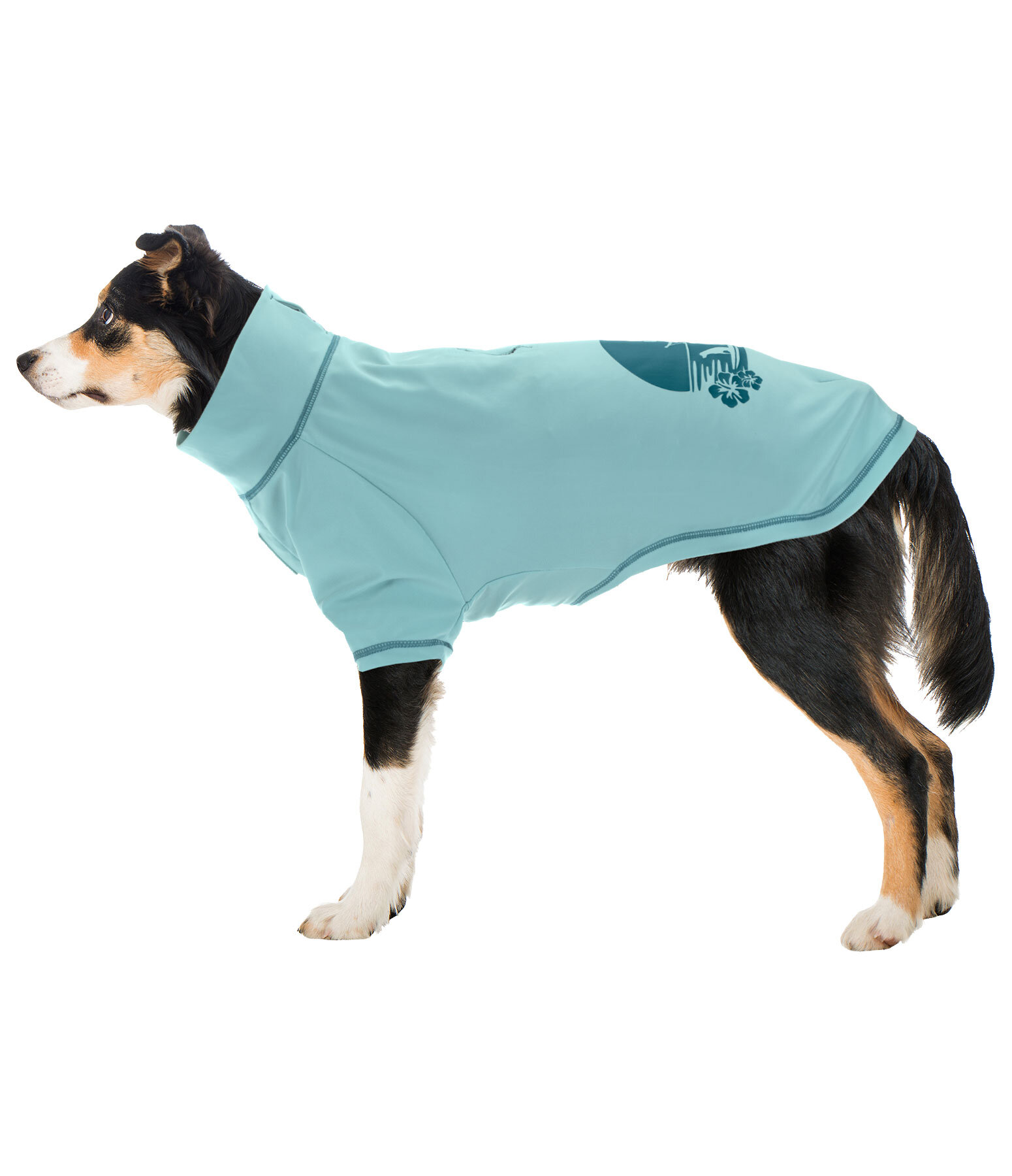 honden-T-shirt Sunny, LSF 50+