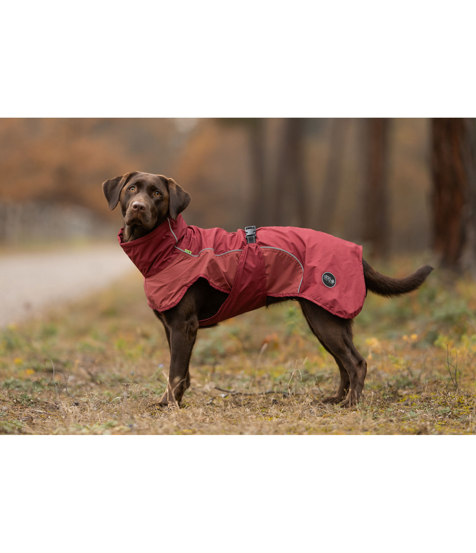 Lightweight honden regenmantel Alma, 0 g