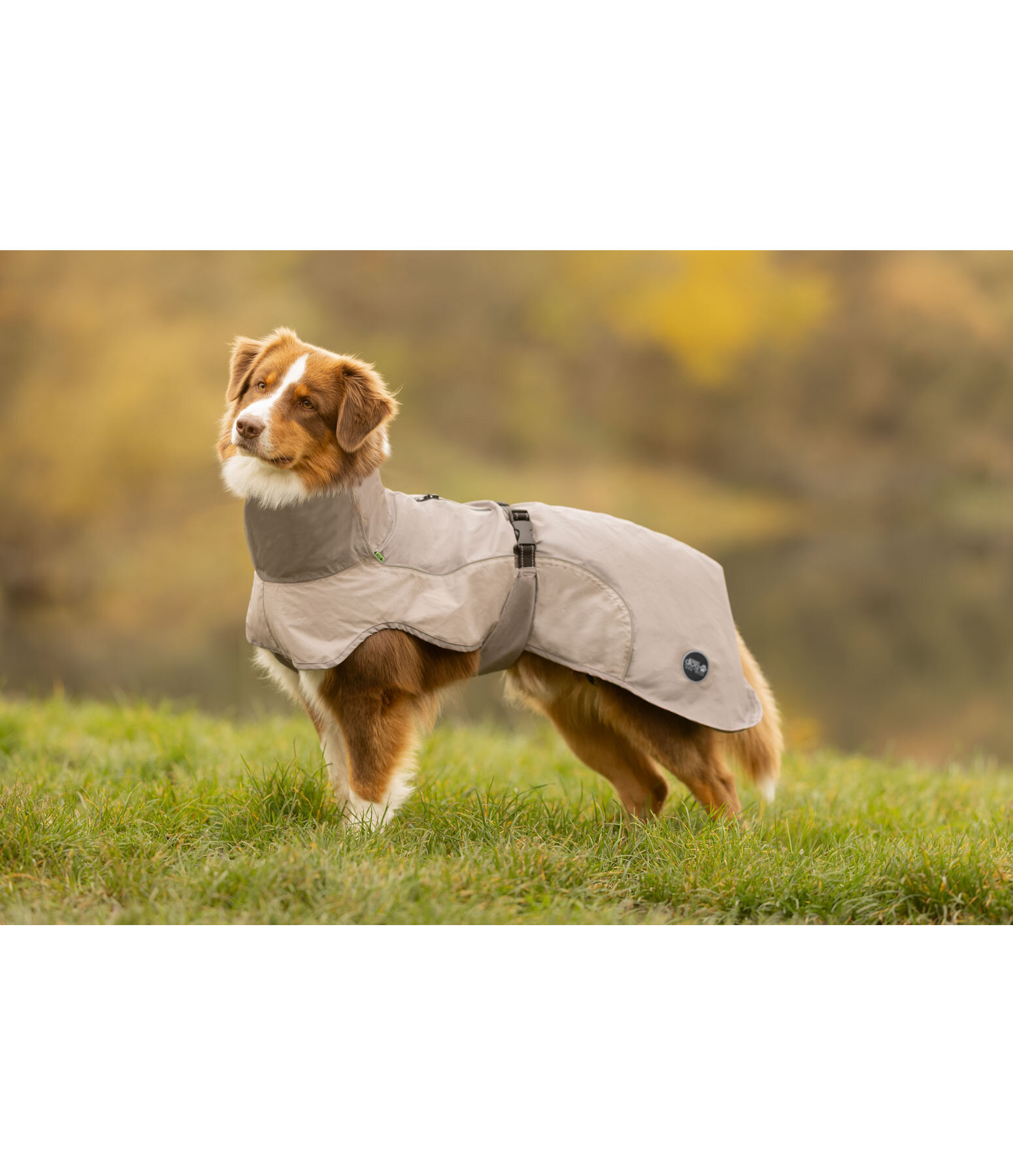 Lightweight honden regenmantel Alma, 0 g