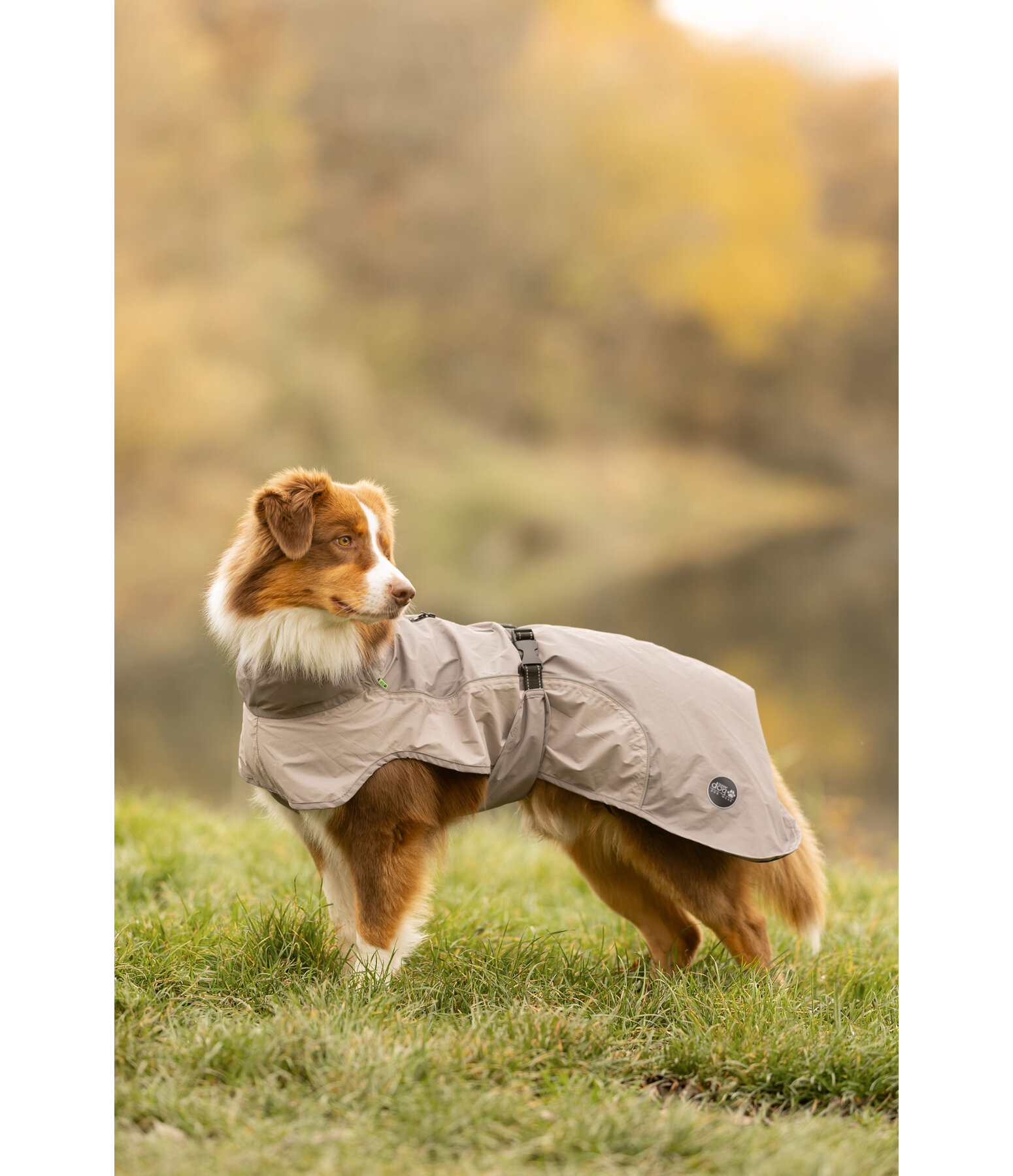 Lightweight honden regenmantel Alma, 0 g