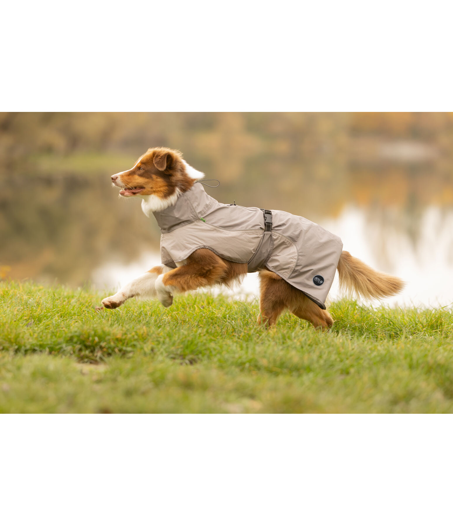 Lightweight honden regenmantel Alma, 0 g