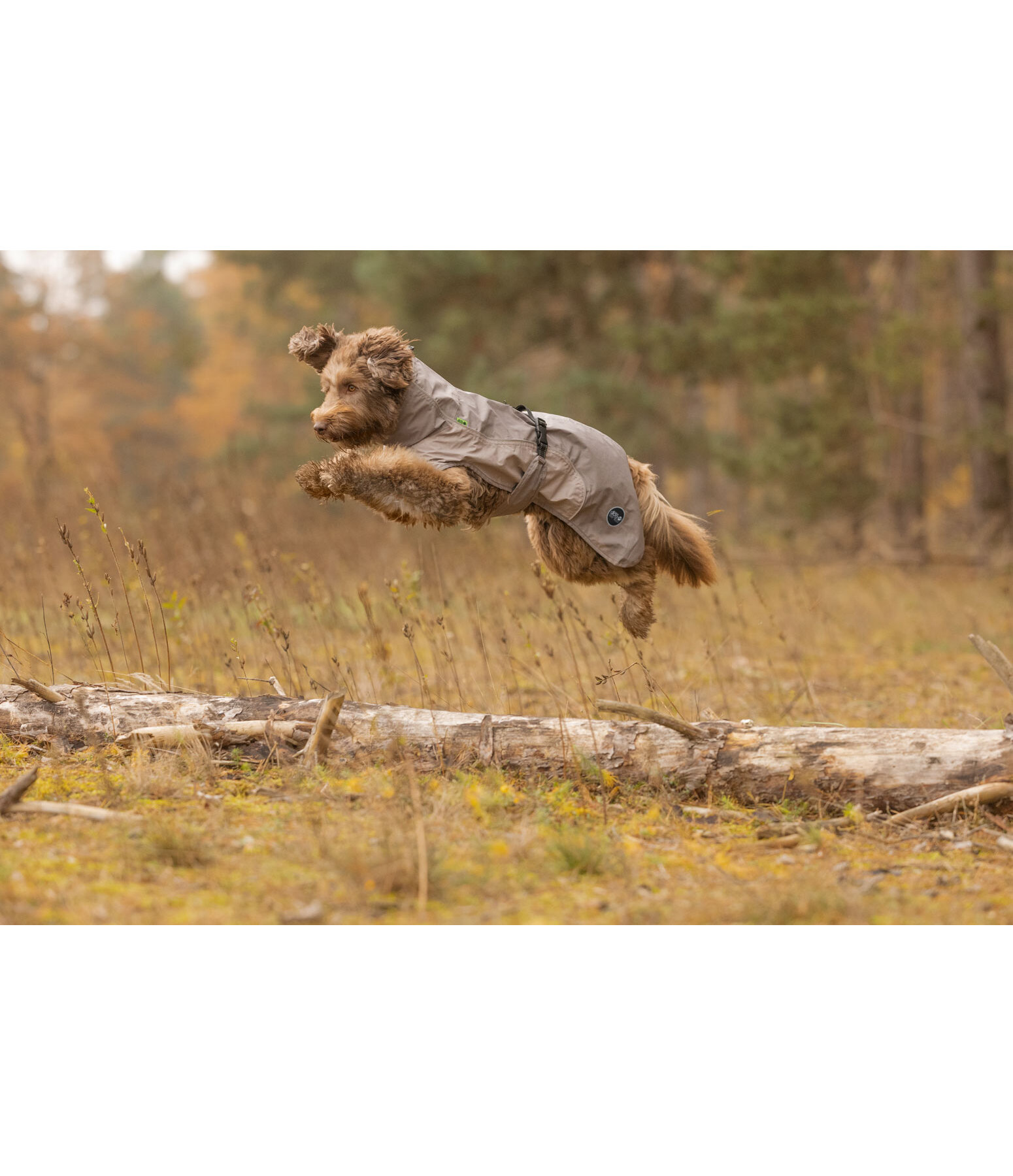 Lightweight honden regenmantel Alma, 0 g