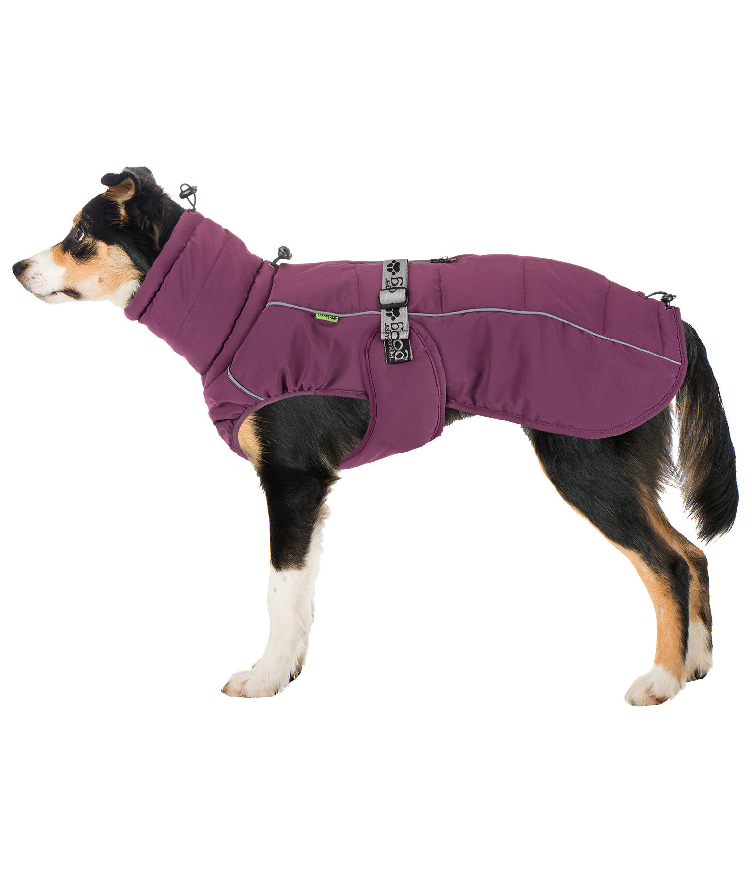 Winter-hondenmantel Marlon, 200-300 g
