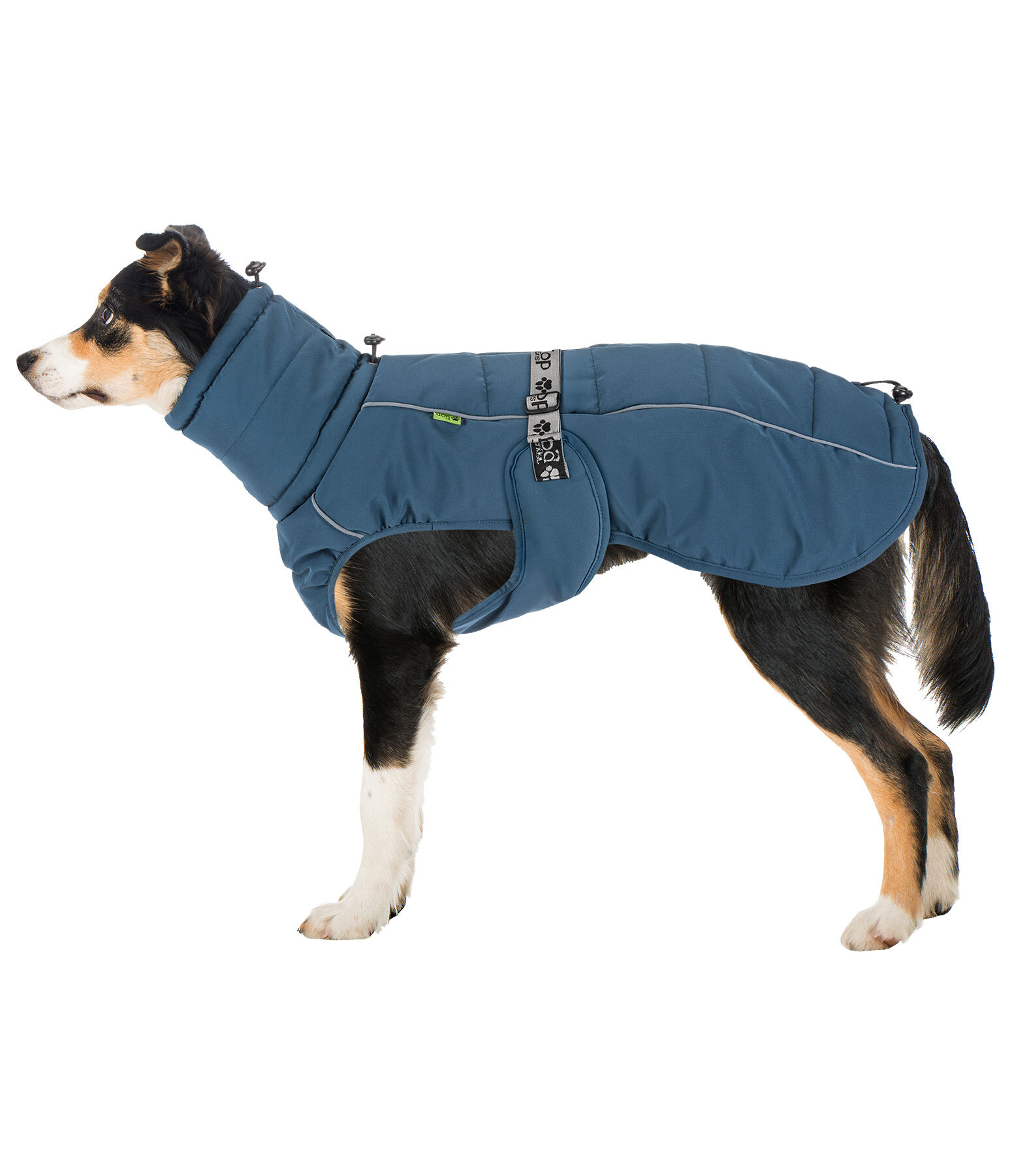 Winter-hondenmantel Marlon, 200-300 g