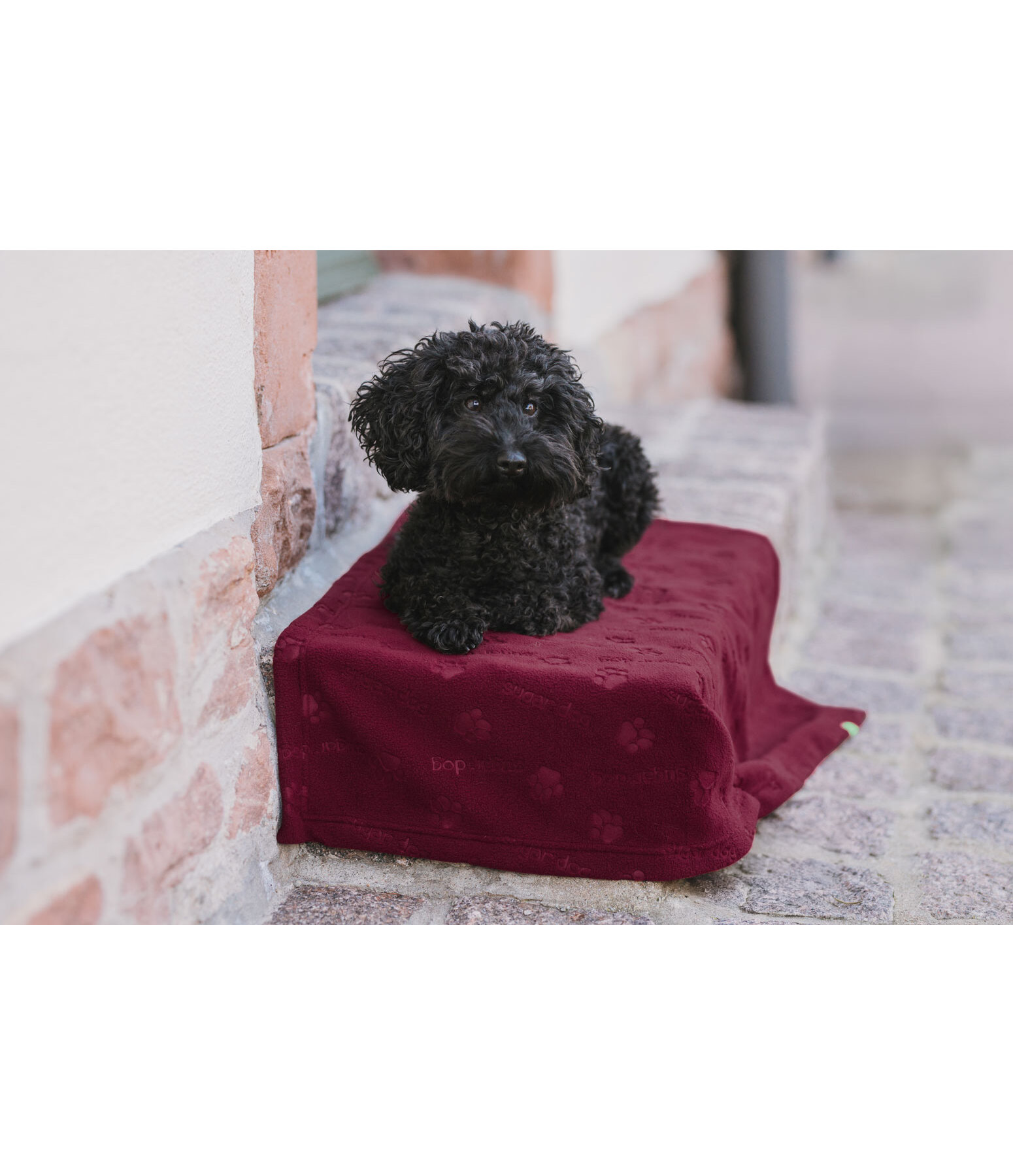 fleece overgooi- en ligdeken Charly