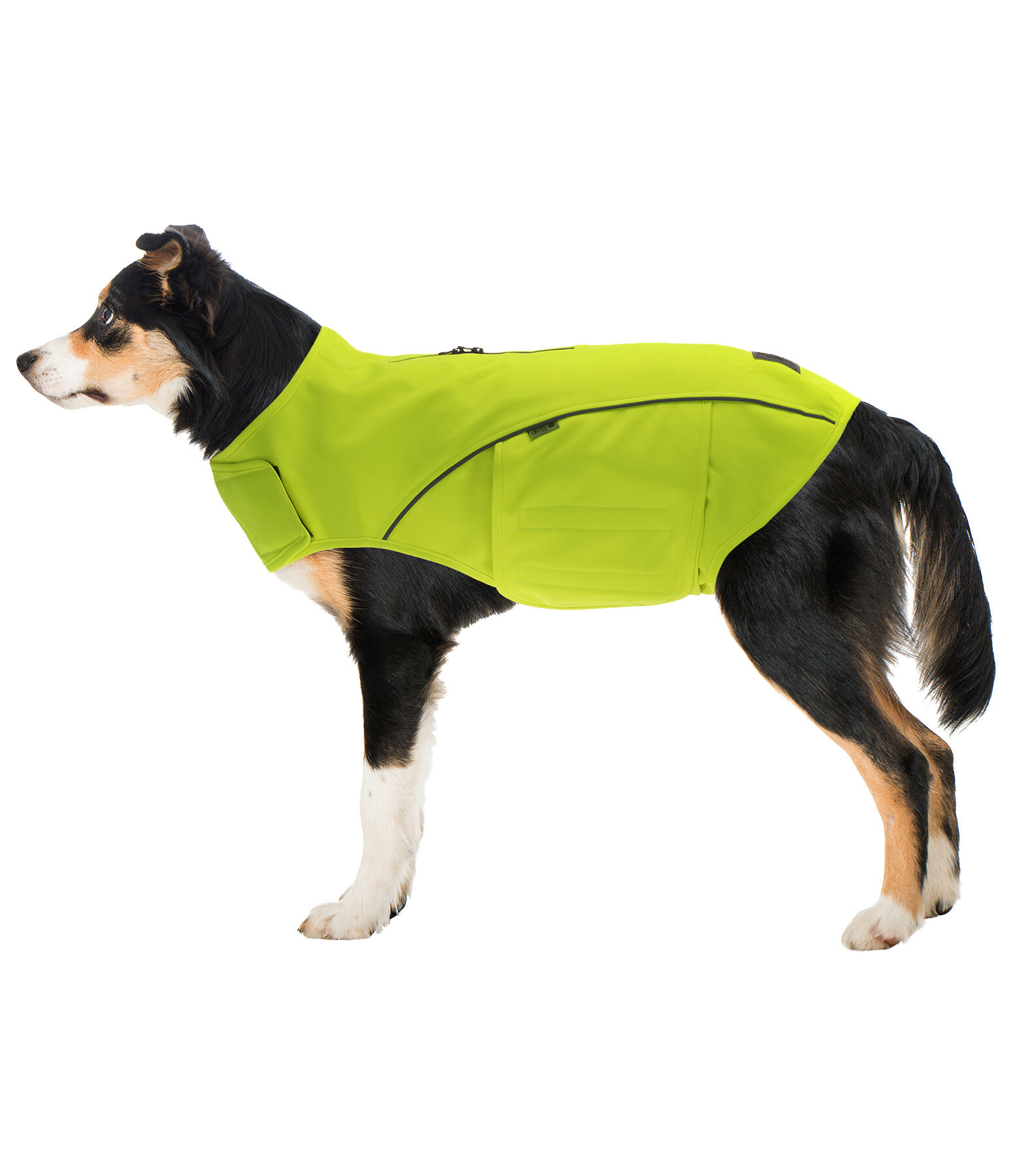 reflecterend veiligheidsvest voor honden