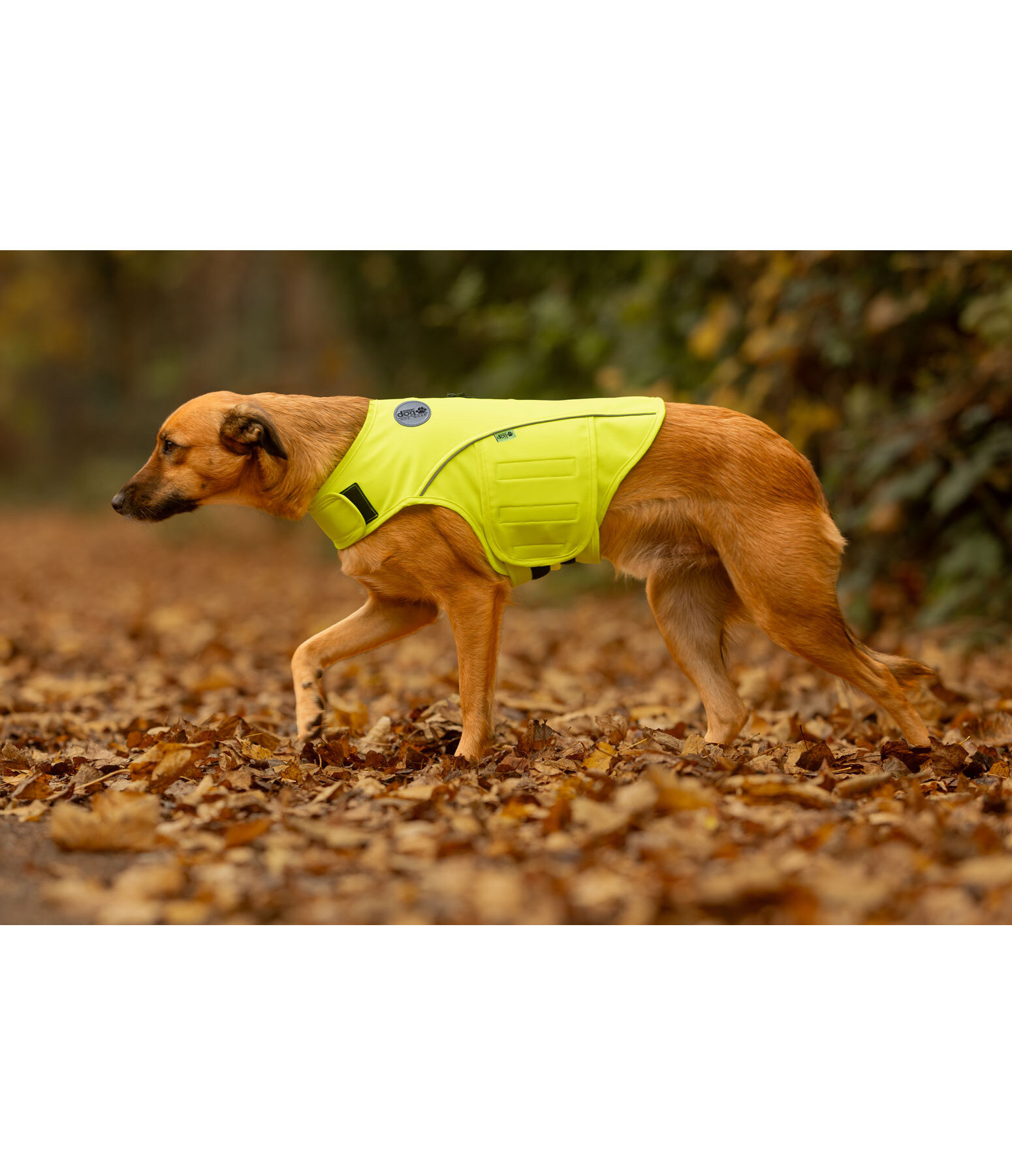 reflecterend veiligheidsvest voor honden
