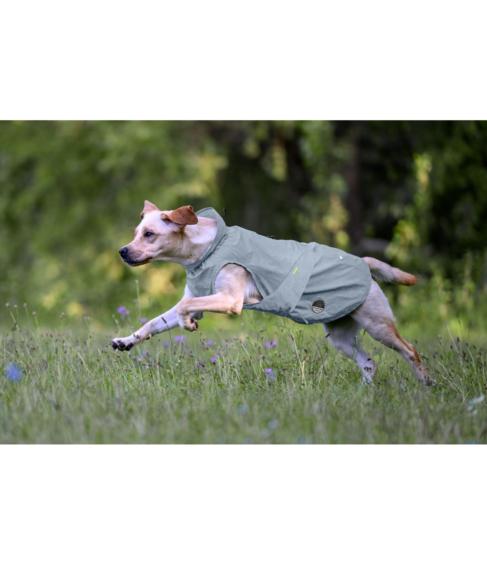 reflecterende regenjas To Go