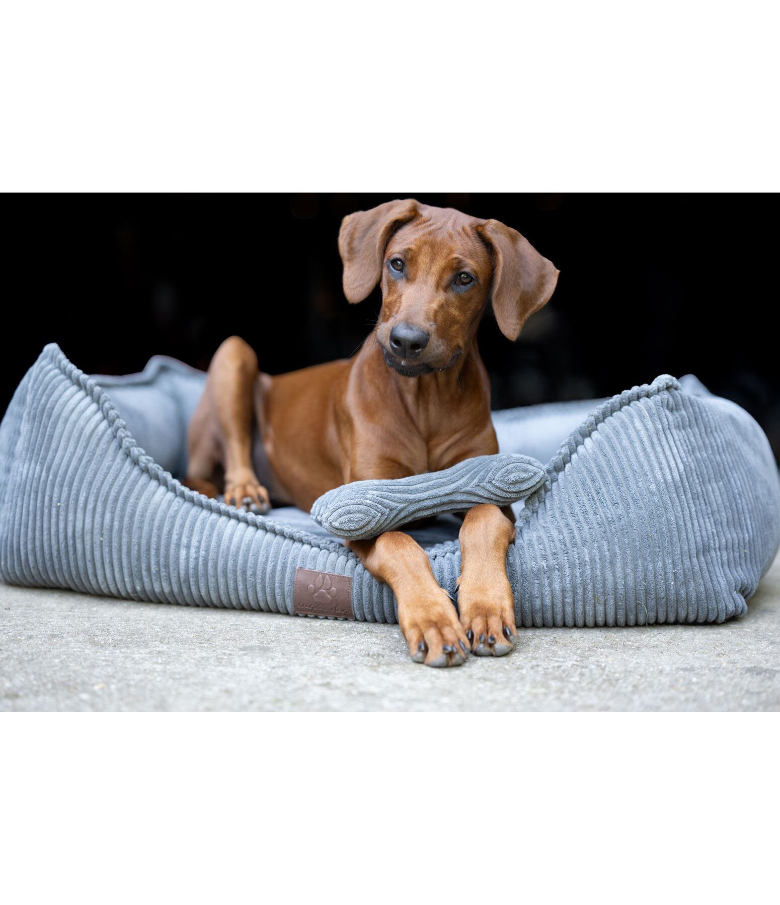 knuffelbot van corduroy