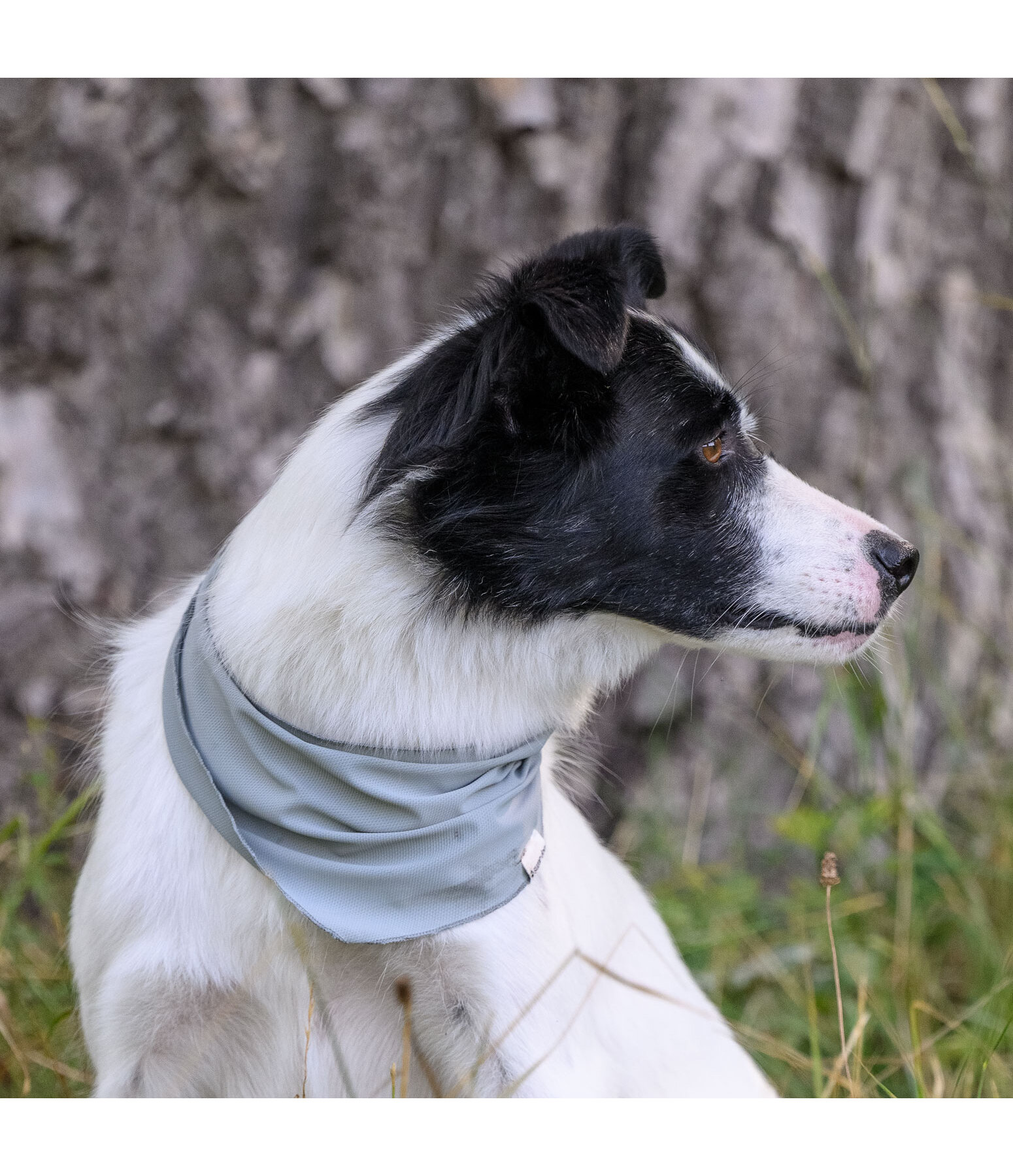 verkoelende halsdoek Frostie