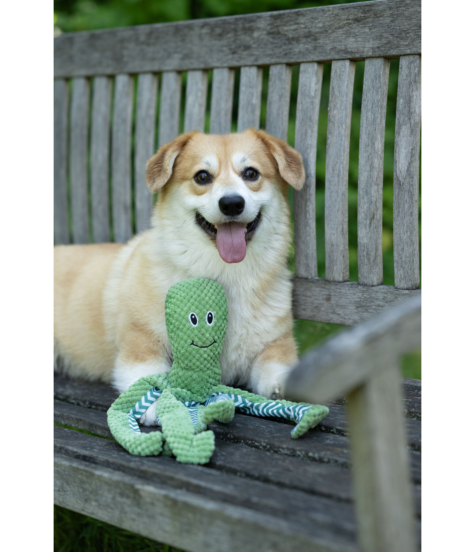 hondenspeeltje Octopus