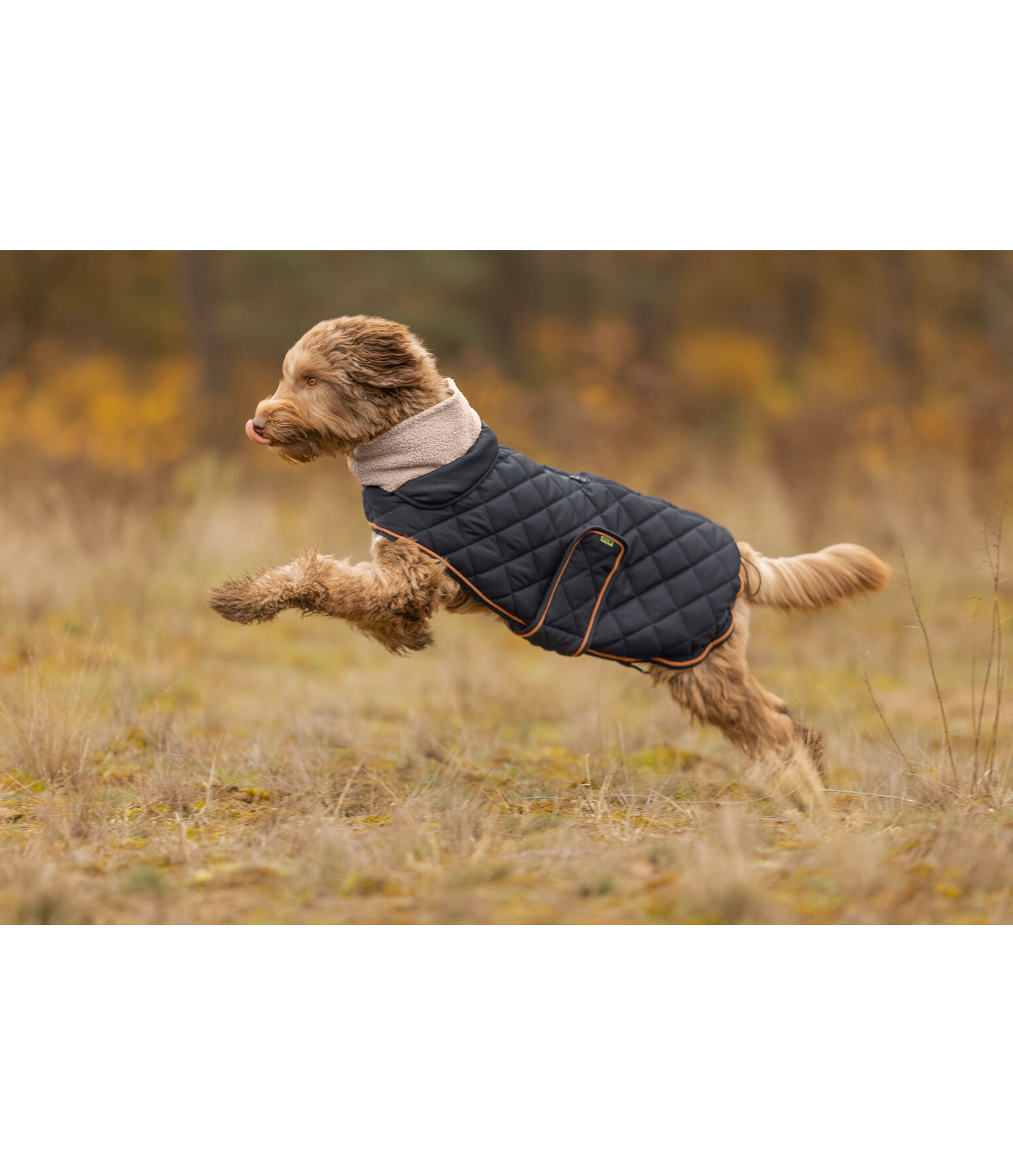 gewatteerde hondenmantel met teddyfleece voering Holly