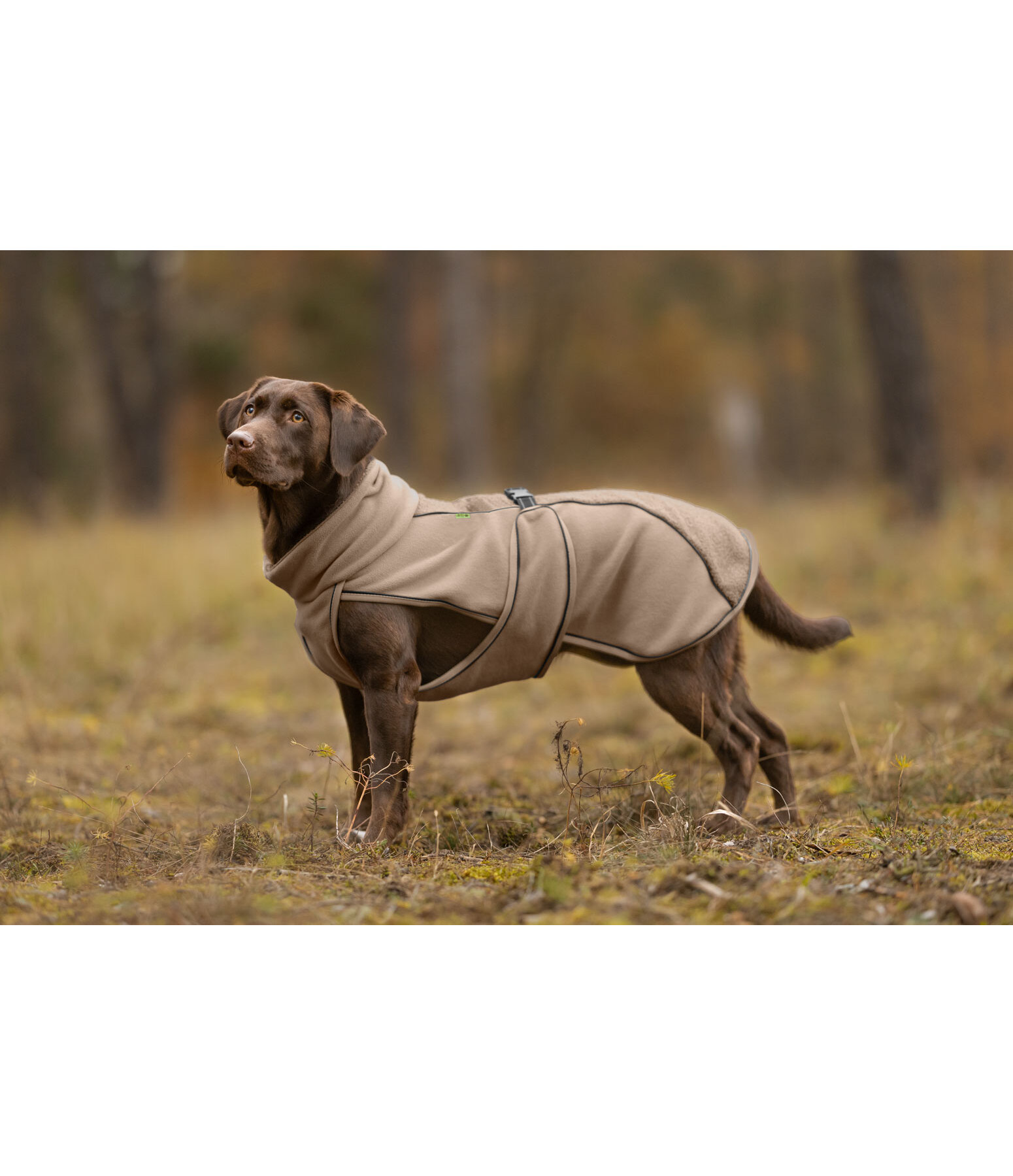 teddyfleece hondenmantel Frido