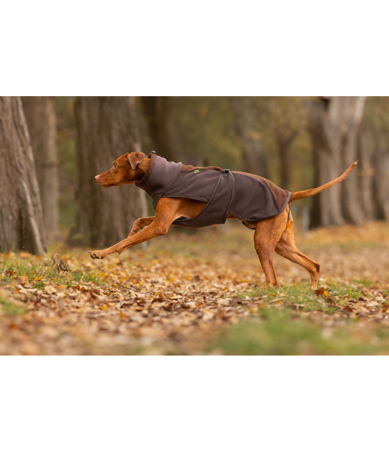 teddyfleece hondenmantel Frido