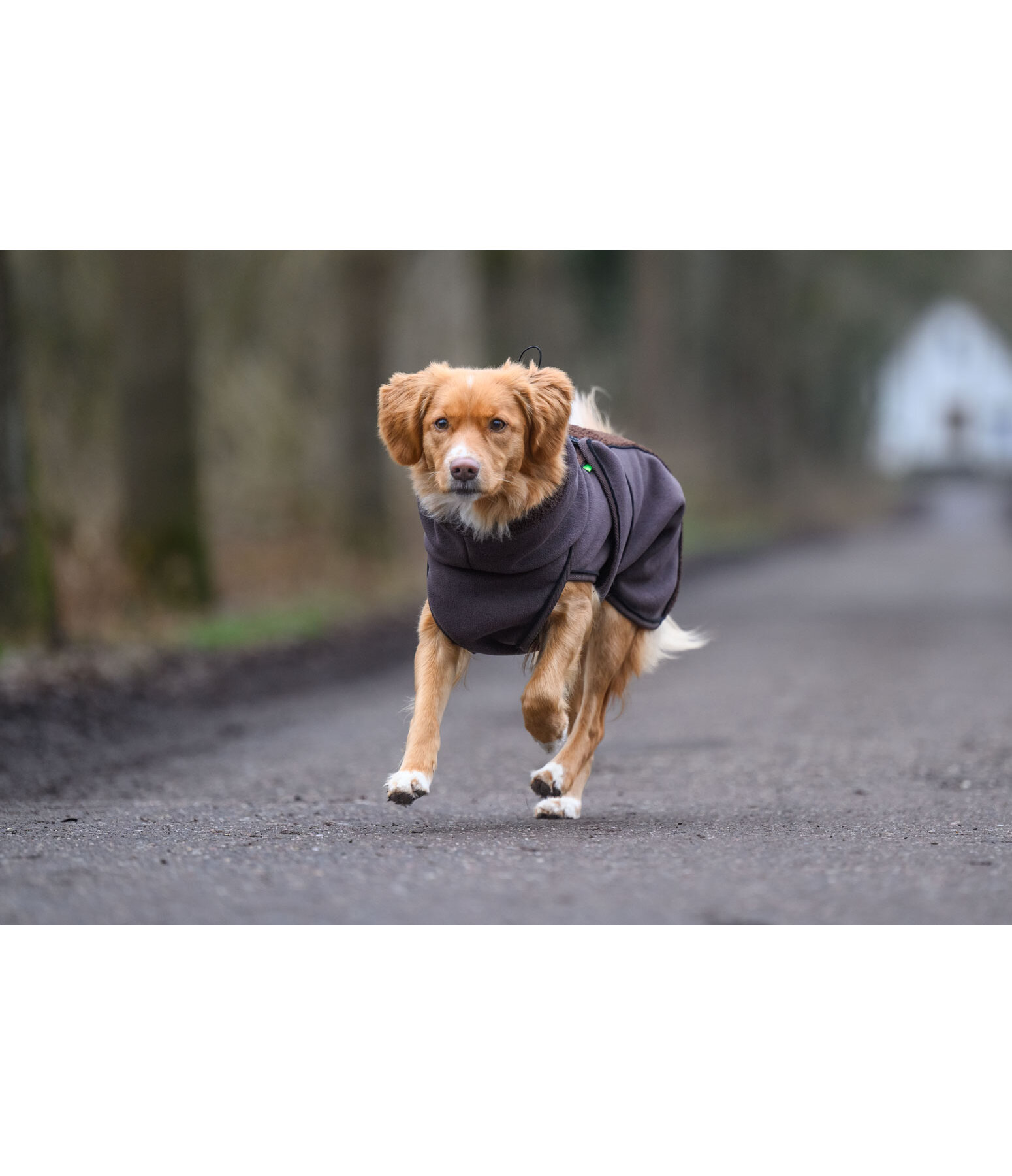 teddyfleece hondenmantel Frido