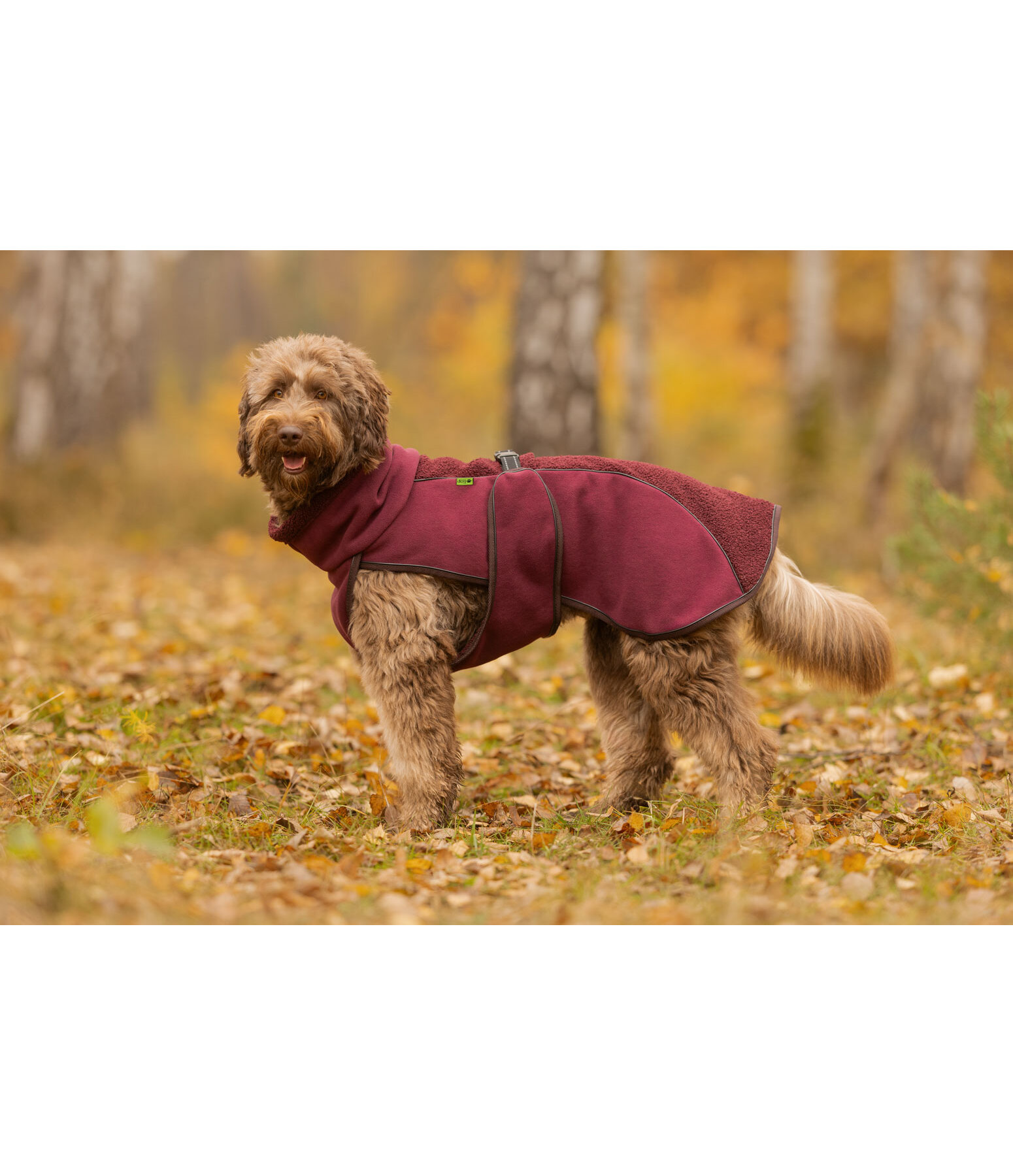 teddyfleece hondenmantel Frido