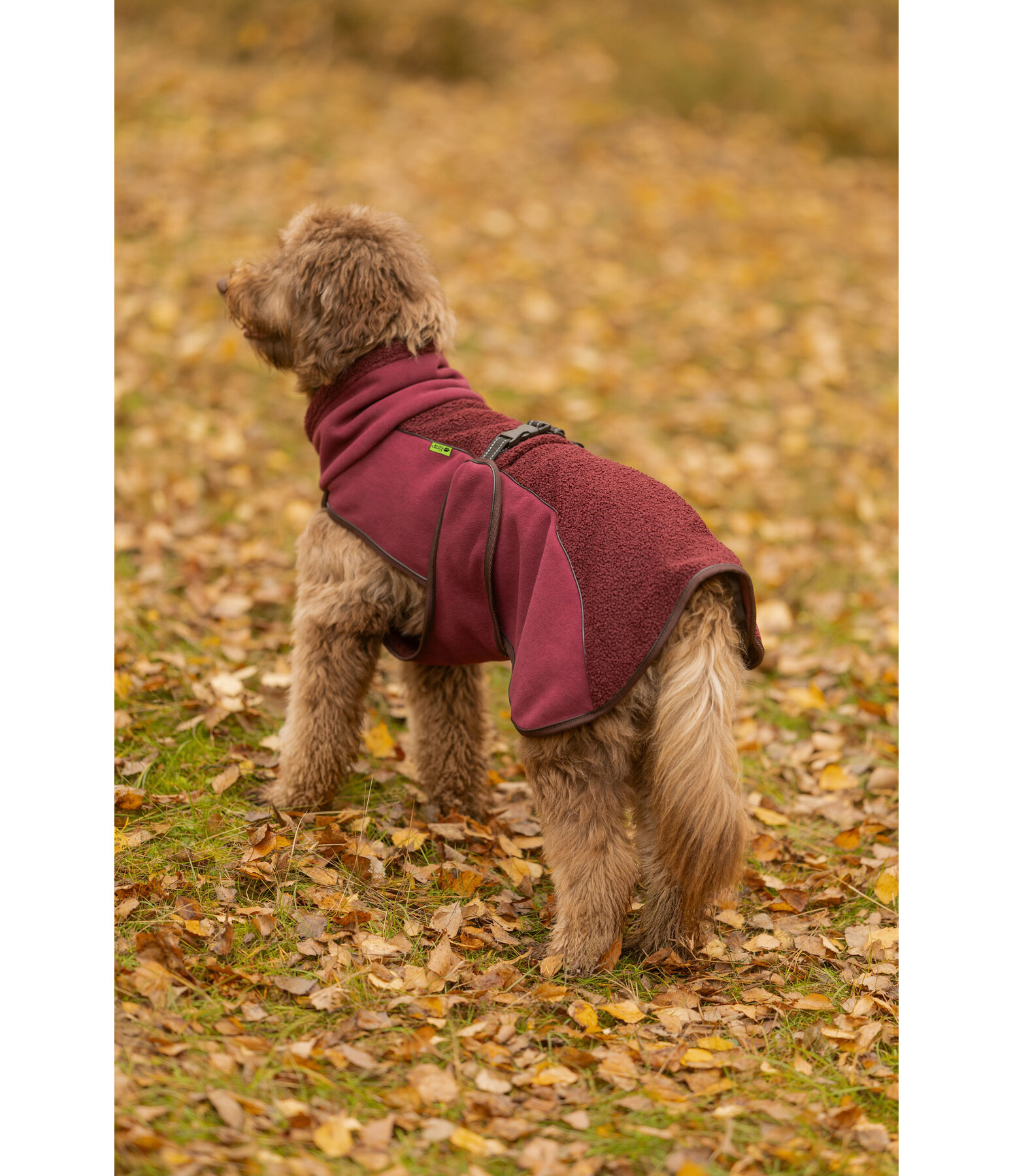 teddyfleece hondenmantel Frido