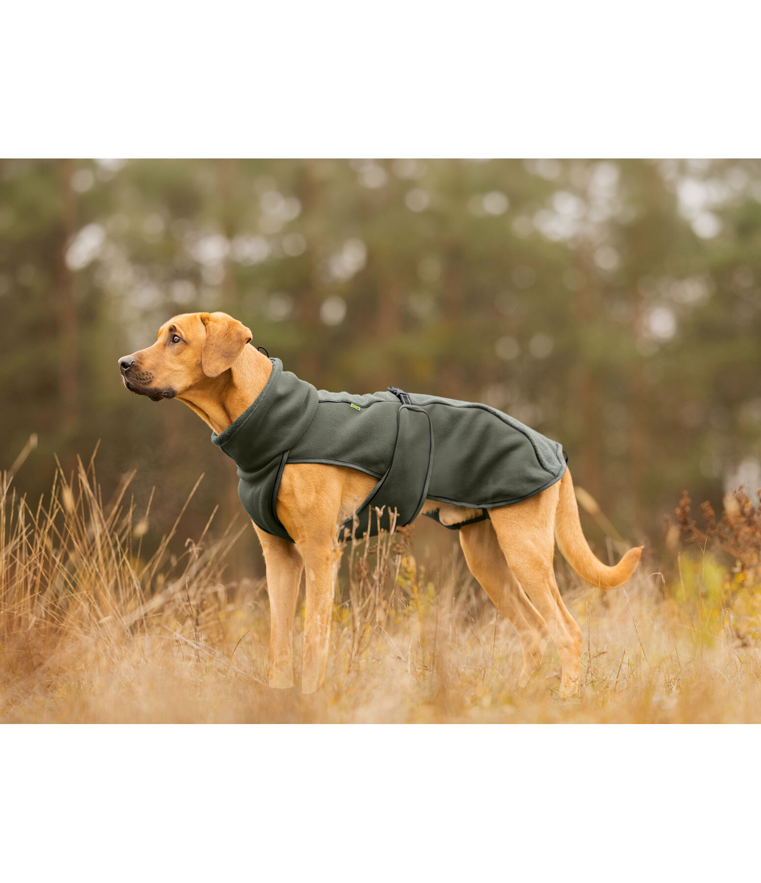 teddyfleece hondenmantel Frido