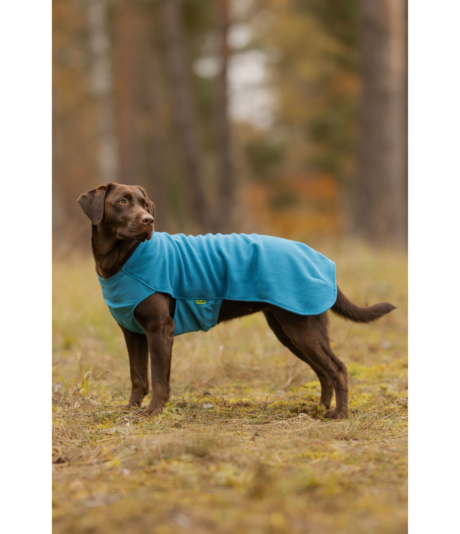 honden ondertrek- en fleecetrui Basic