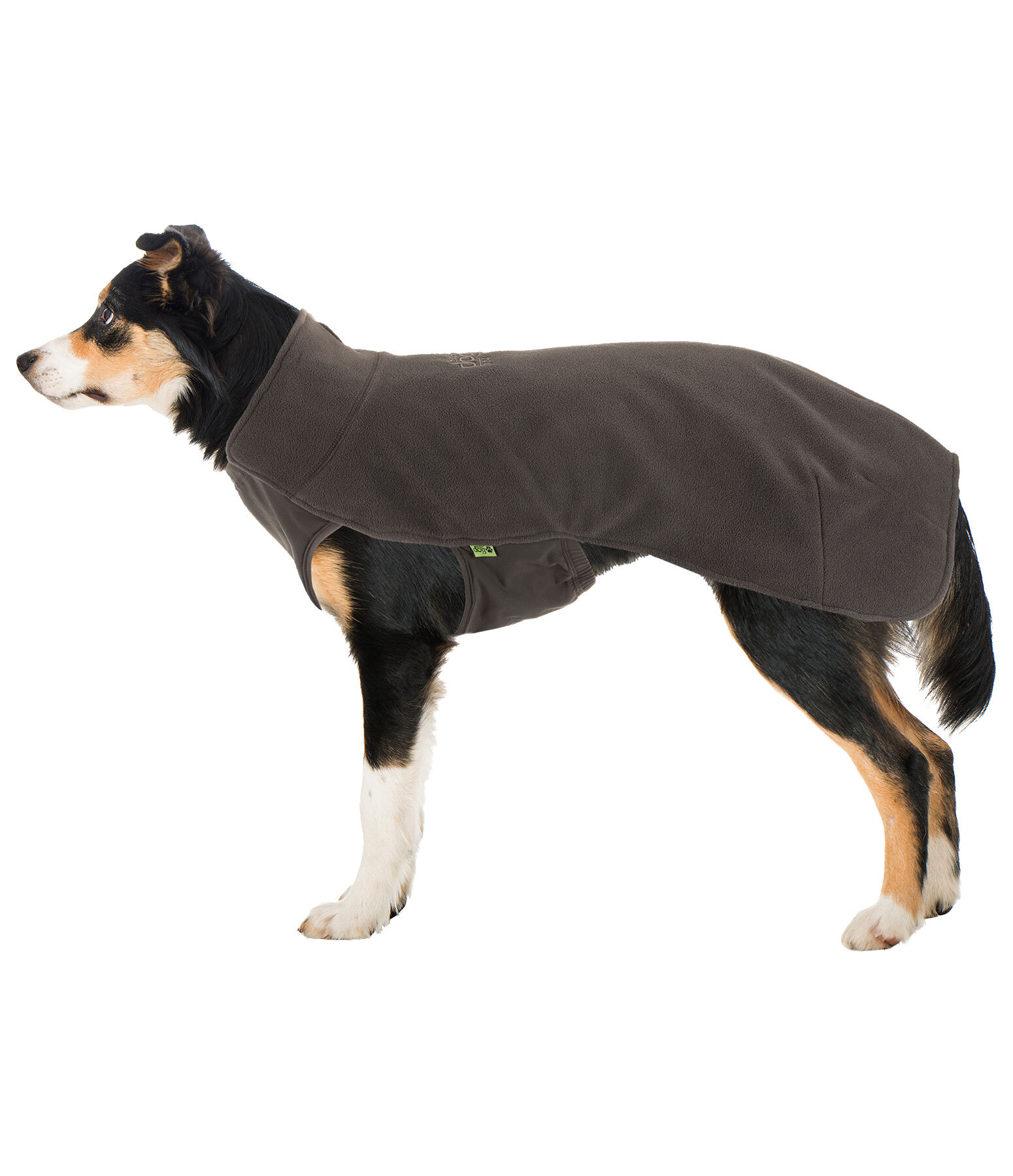 honden ondertrek- en fleecetrui Basic