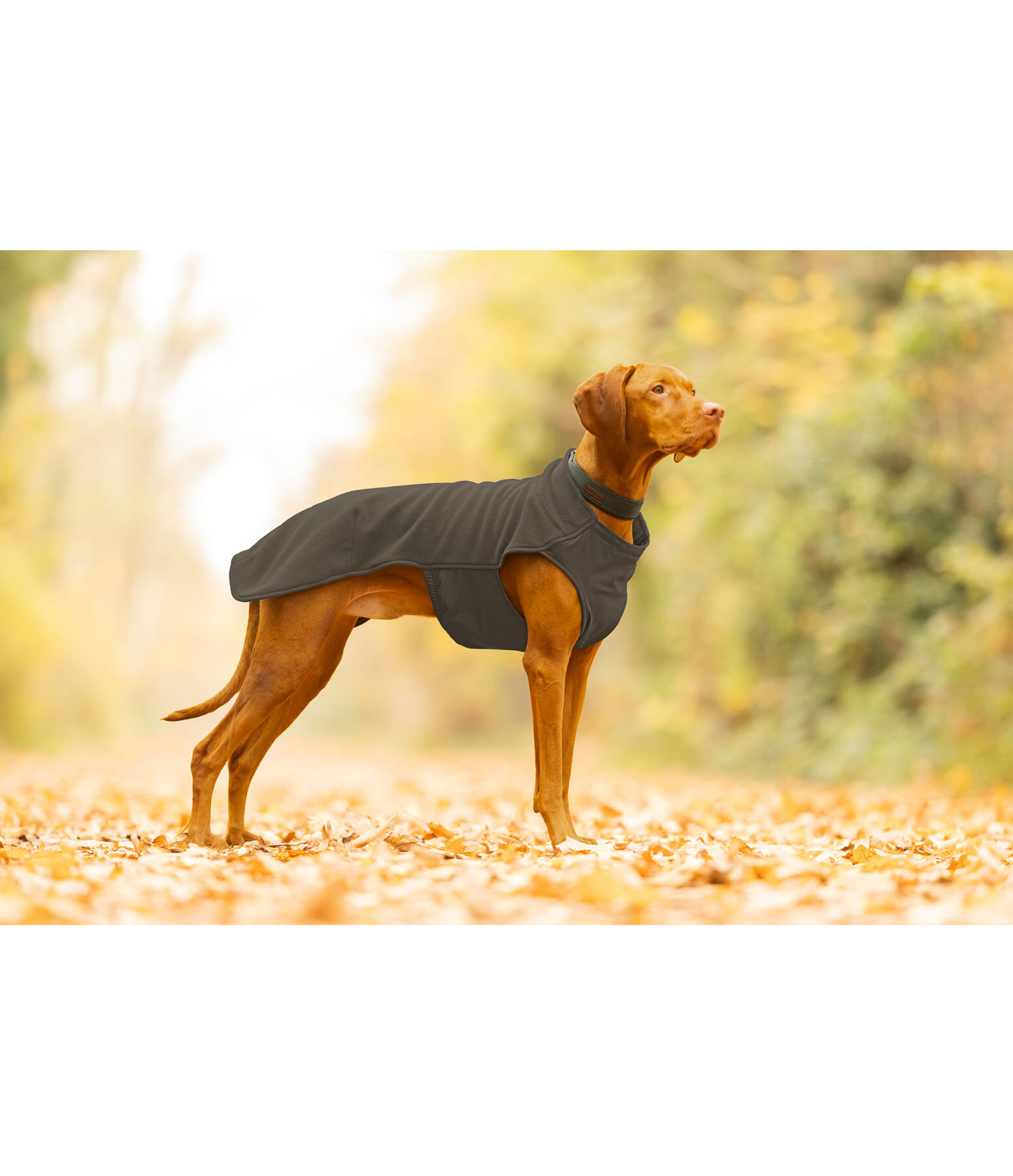 honden ondertrek- en fleecetrui Basic