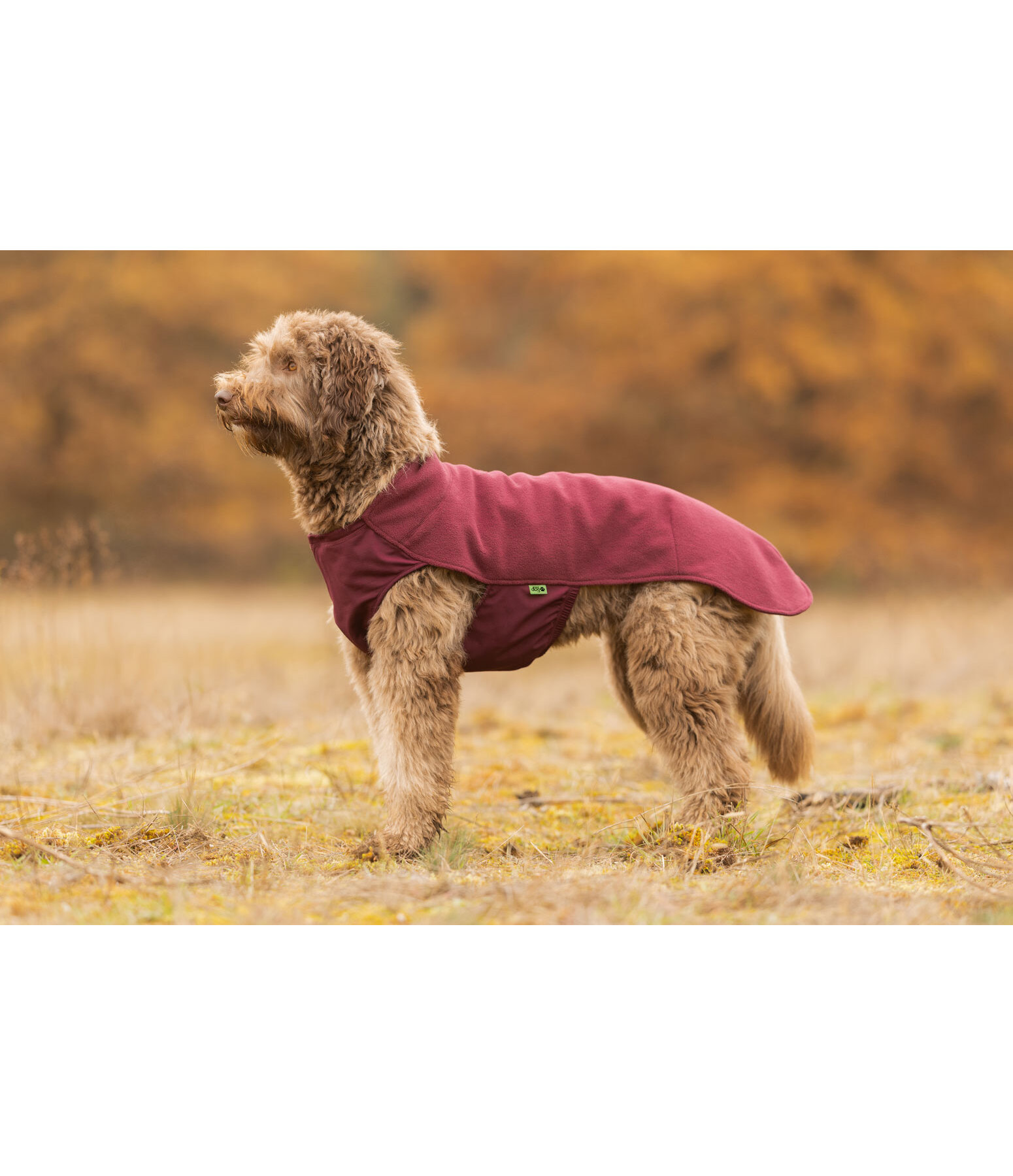 honden ondertrek- en fleecetrui Basic