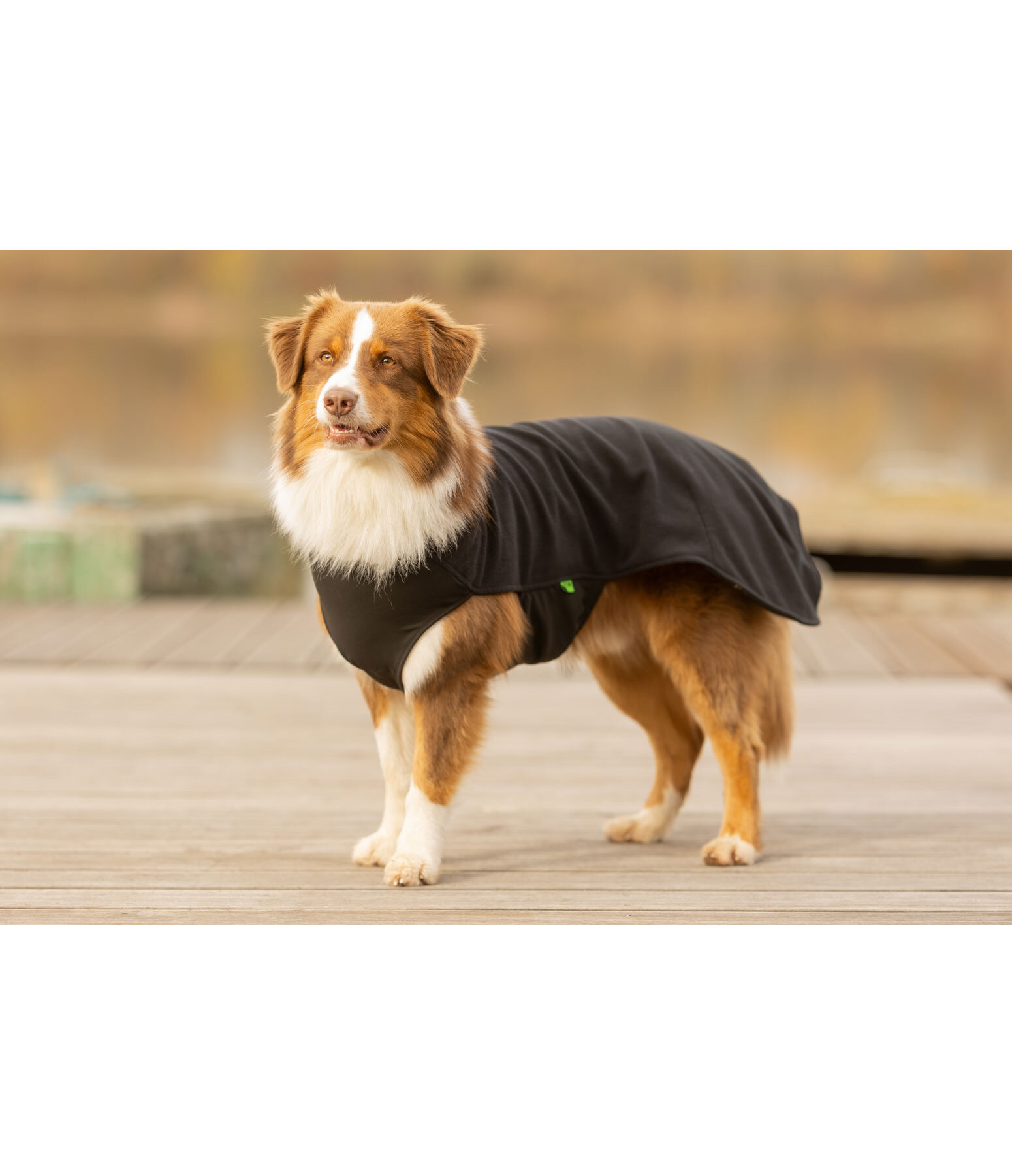 honden ondertrek- en fleecetrui Basic