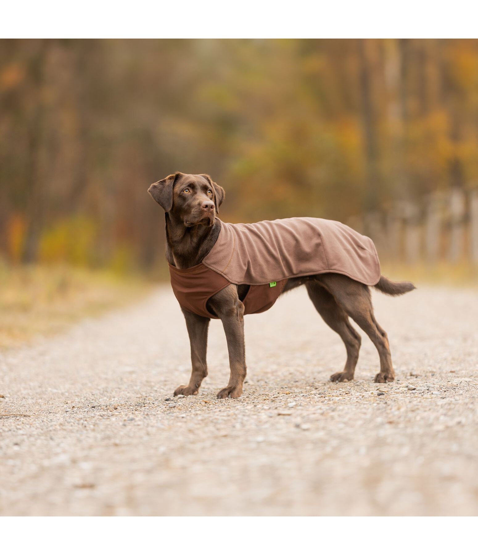 honden ondertrek- en fleecetrui Basic