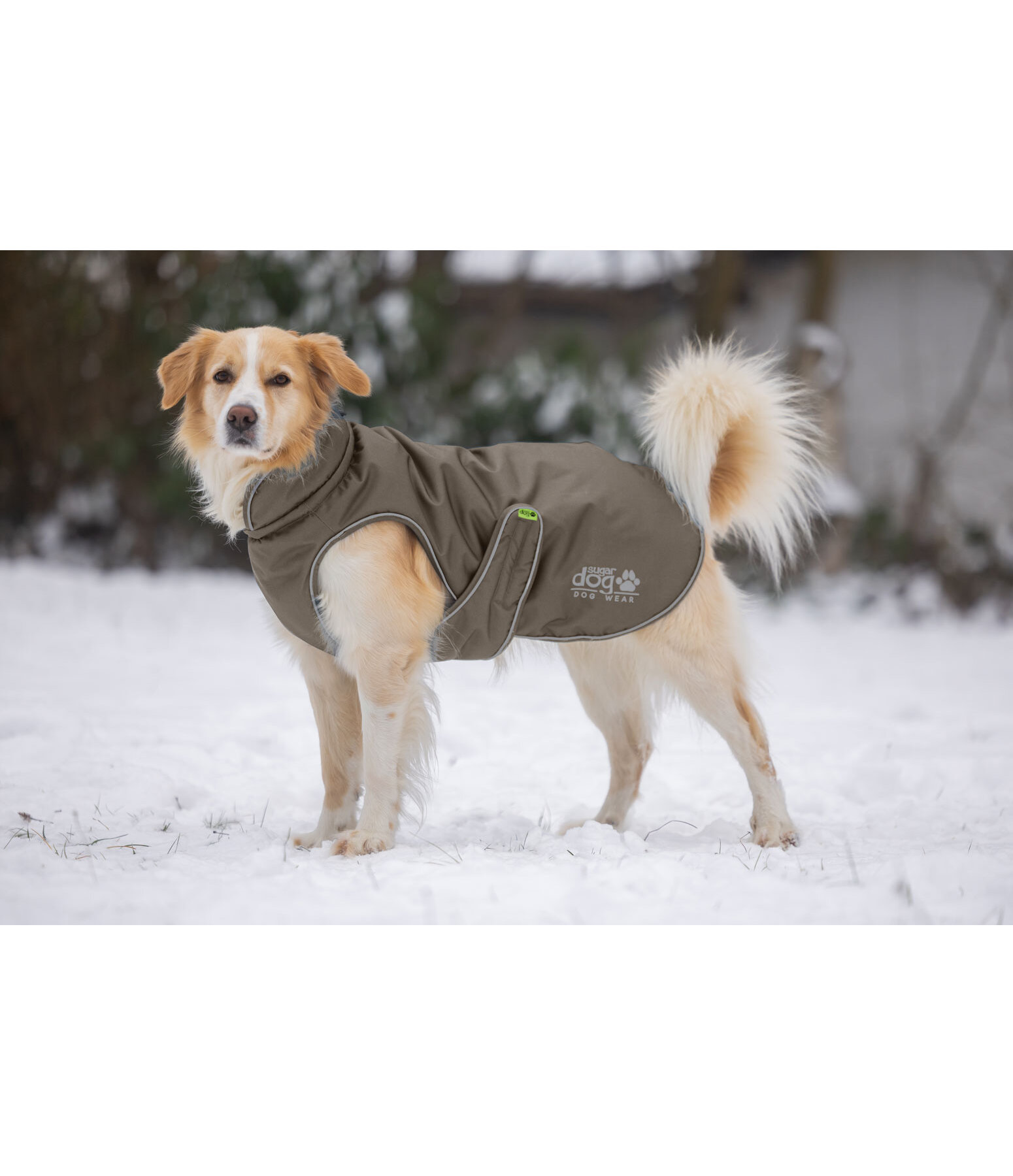 winterhondenmantel Archie Snow Drift, 200 g