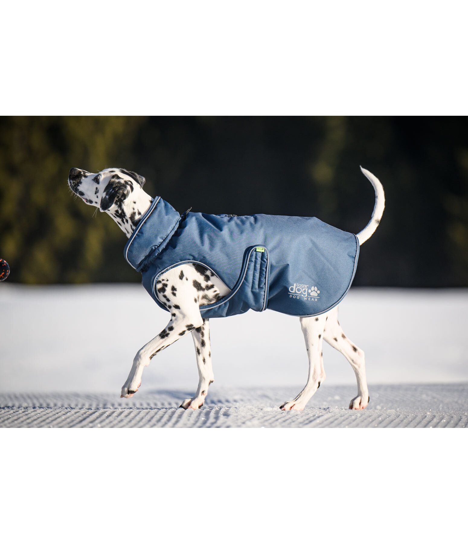 winterhondenmantel Archie Snow Drift, 200 g