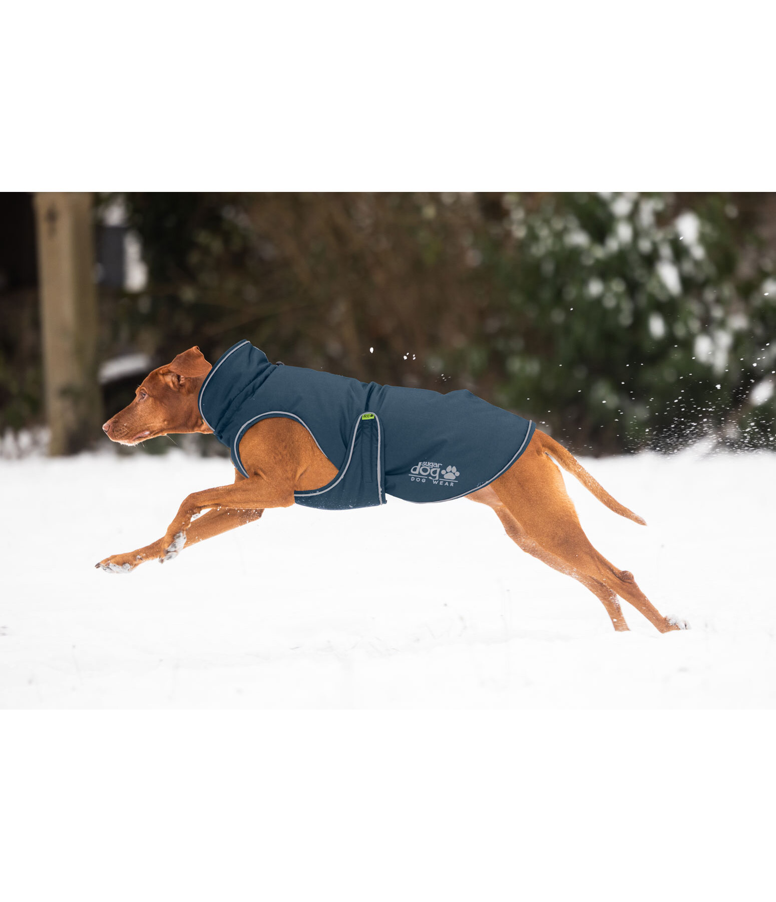 winterhondenmantel Archie Snow Drift, 200 g