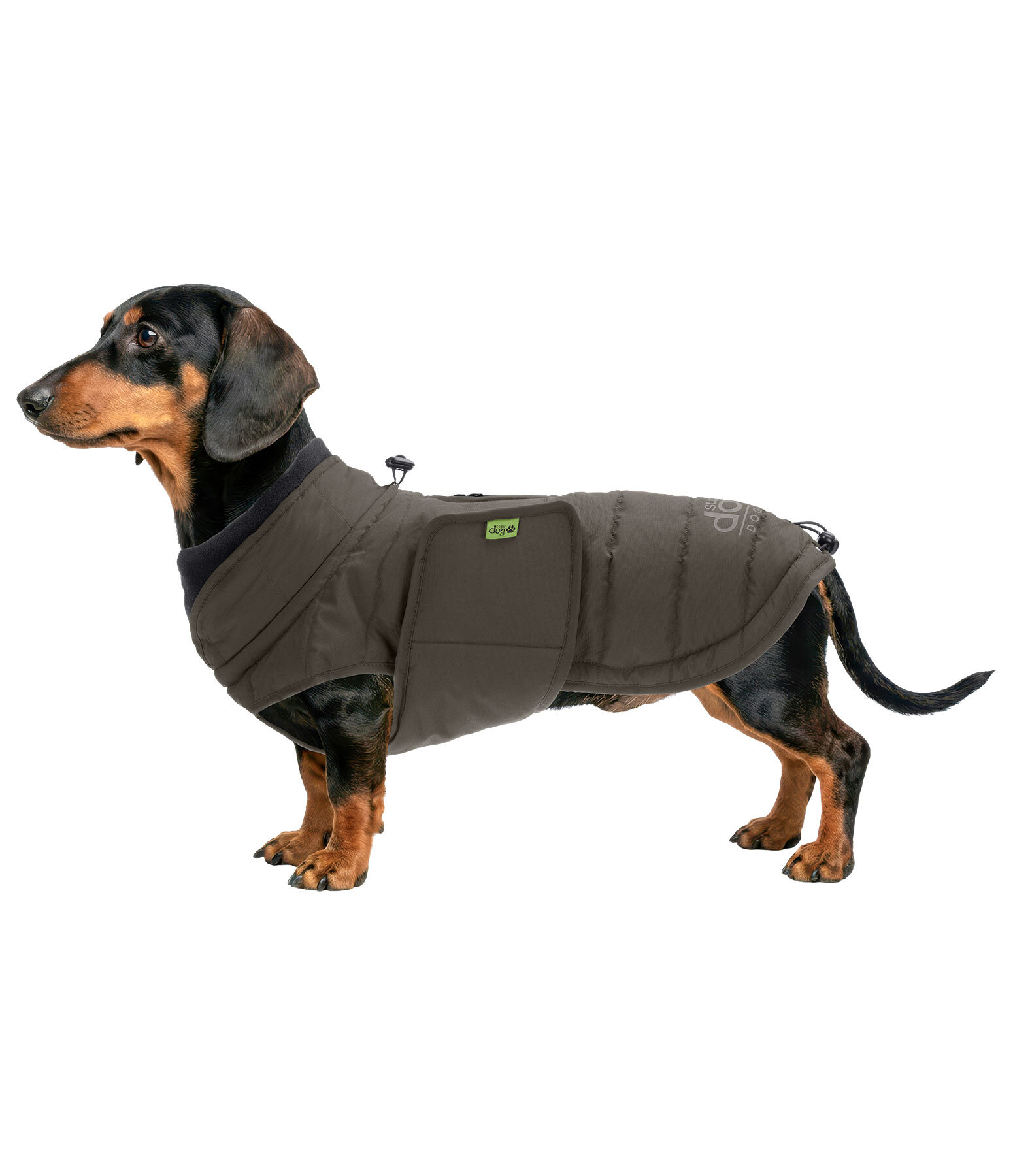 Teckel Wintermantel Henry, 200 g