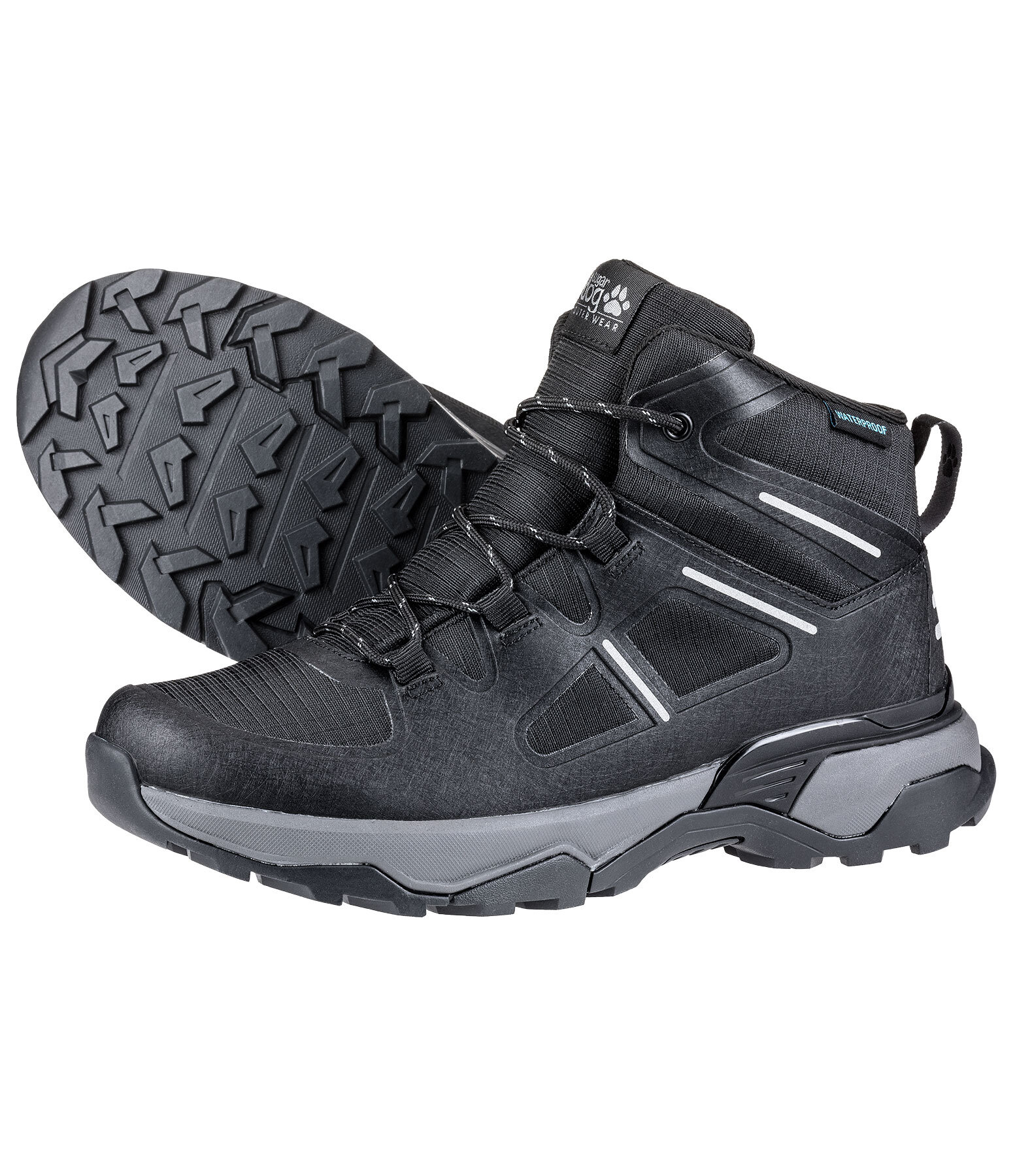 wandellaars X-Trail High