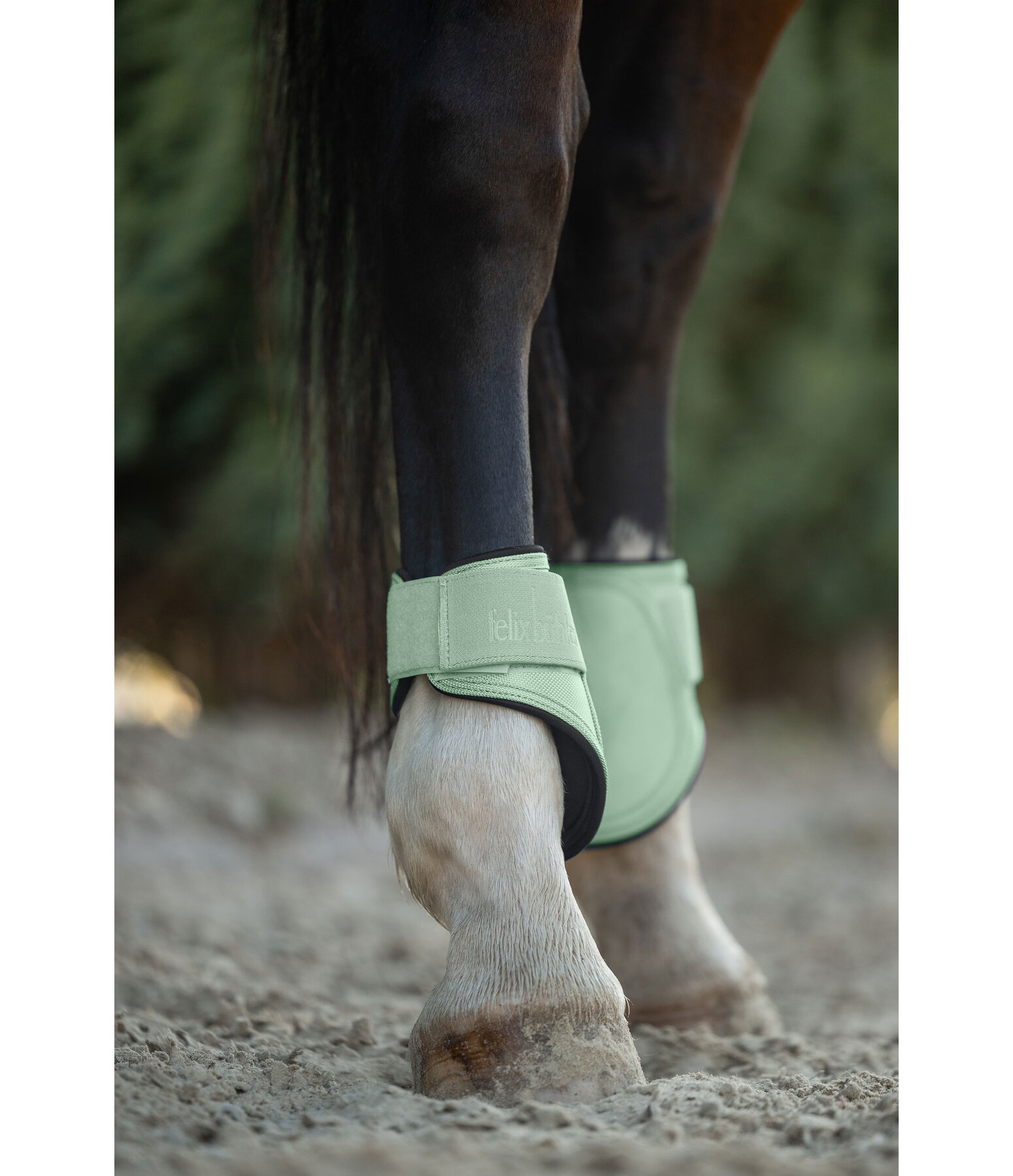 kogelbeschermers Sophistication