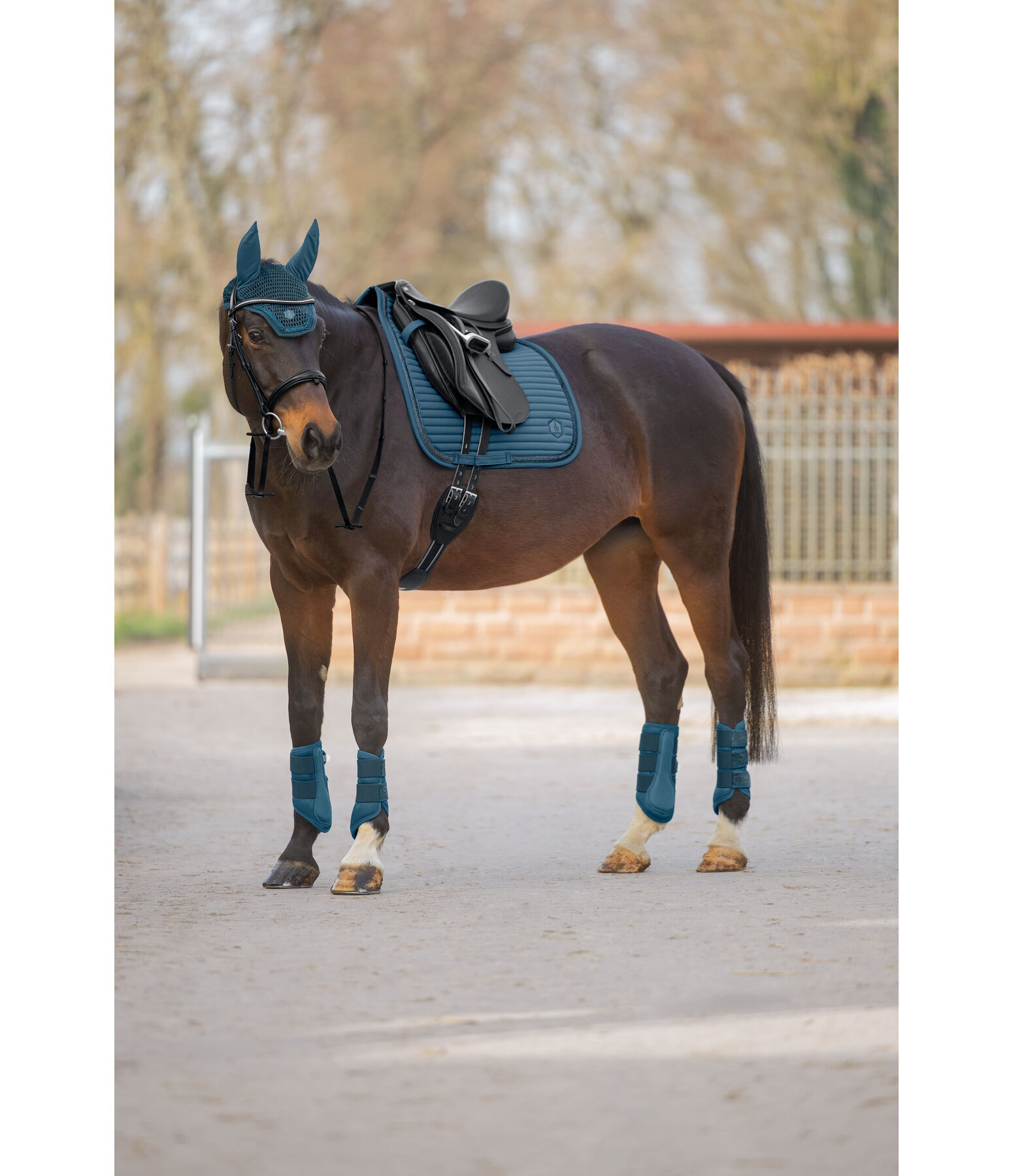 Mesh peesbeschermers Glitter, voorbenen