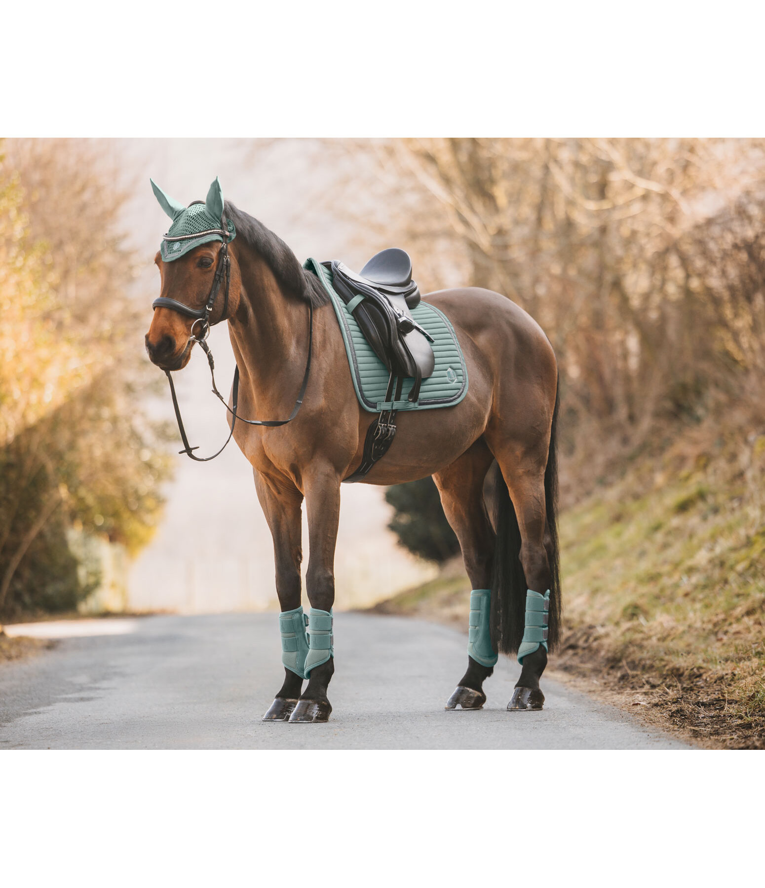 Mesh peesbeschermers Glitter, achterbenen